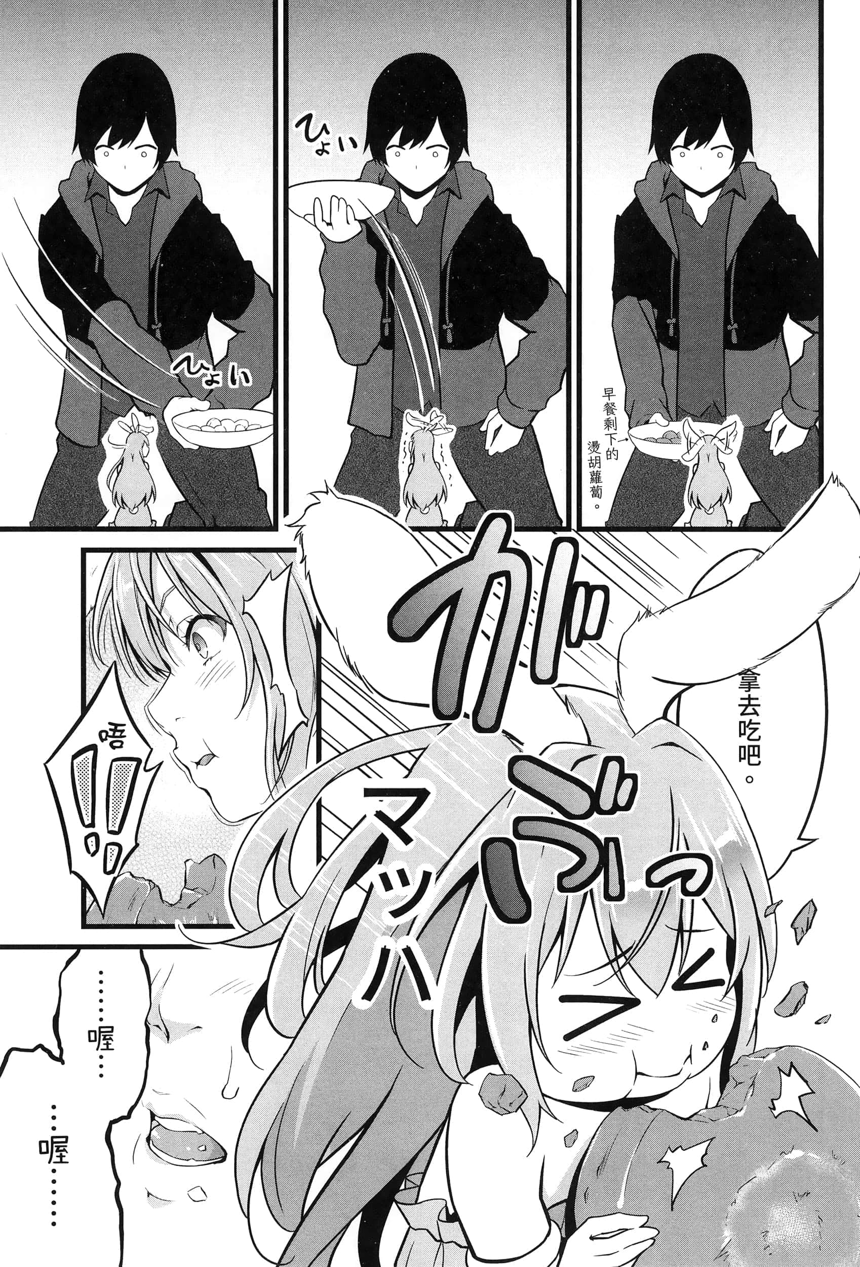 第 66 页
