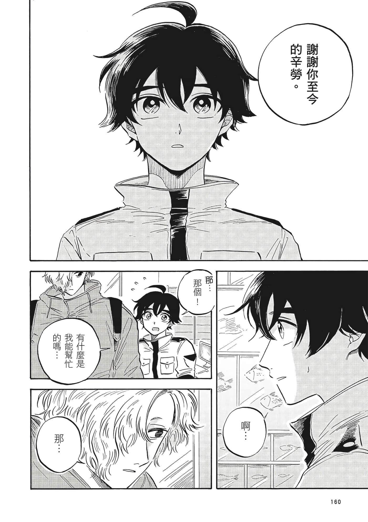 Page 161