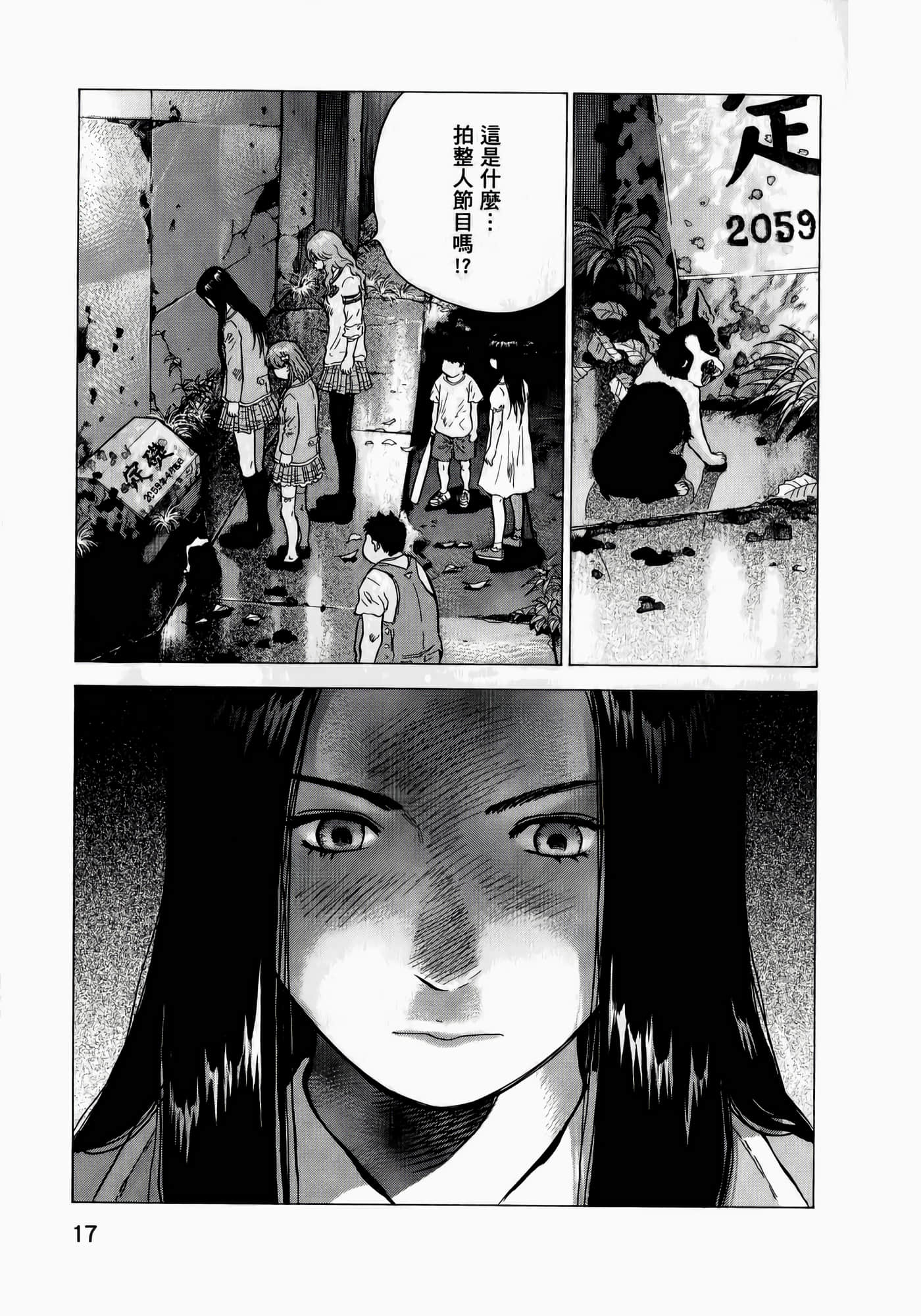 第 17 页