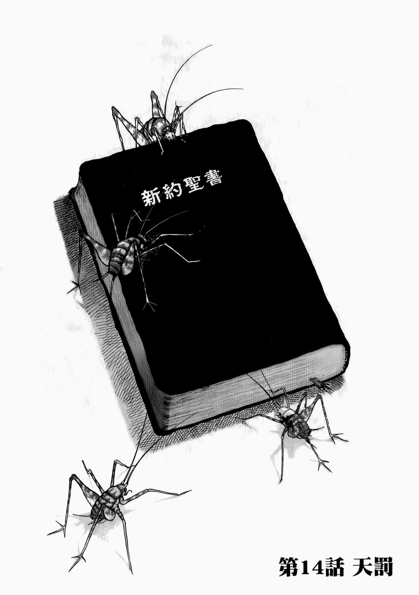 第 155 页