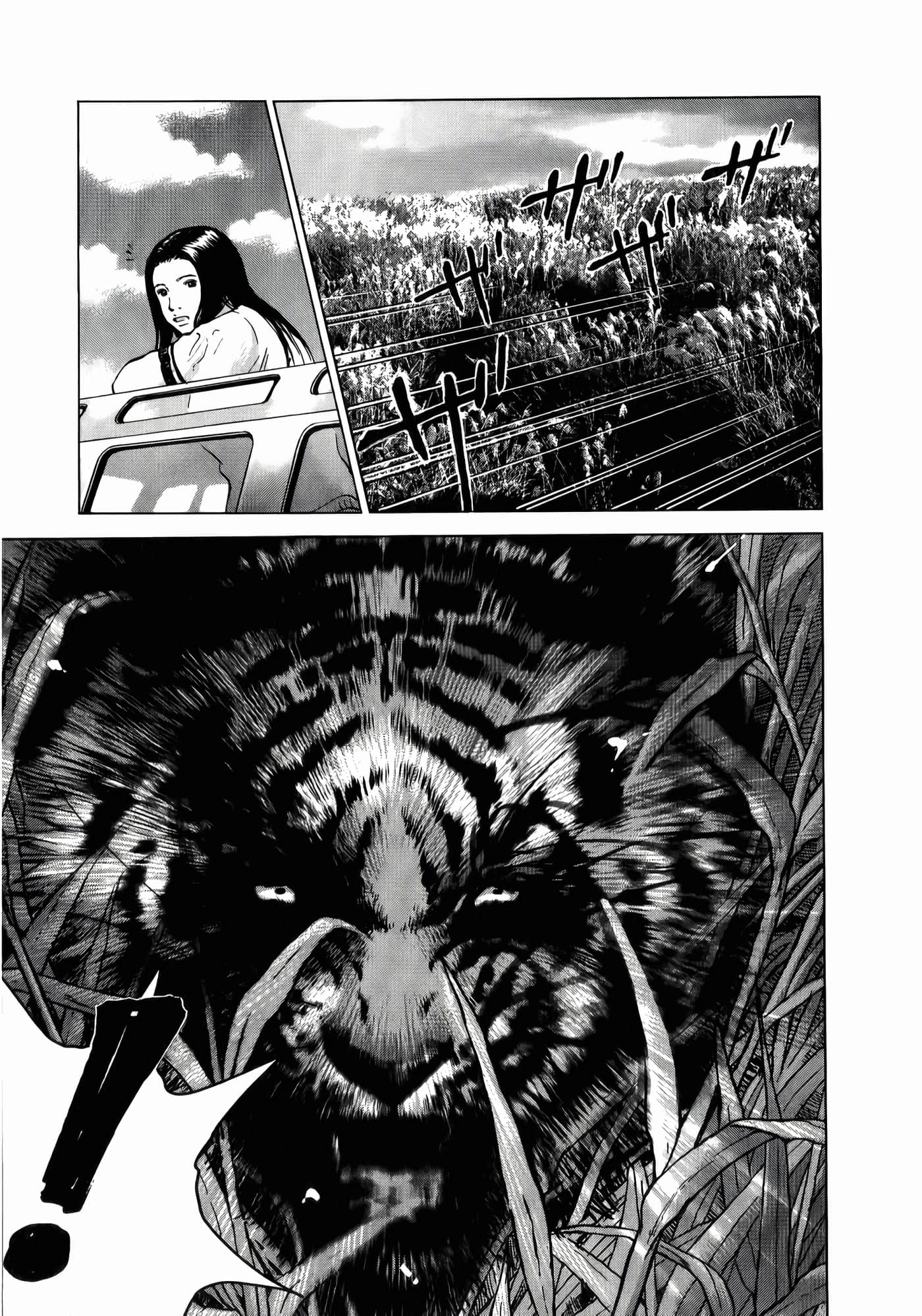 第 191 页