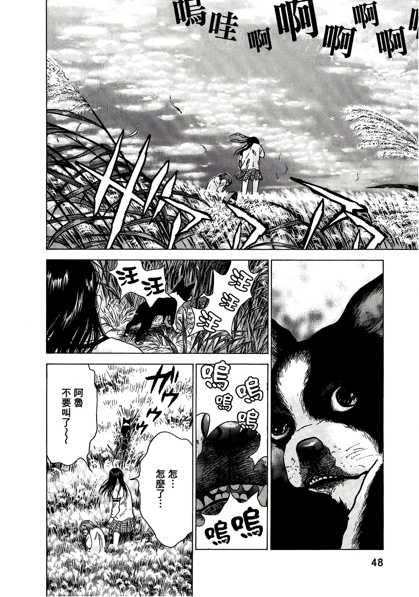 Page 48