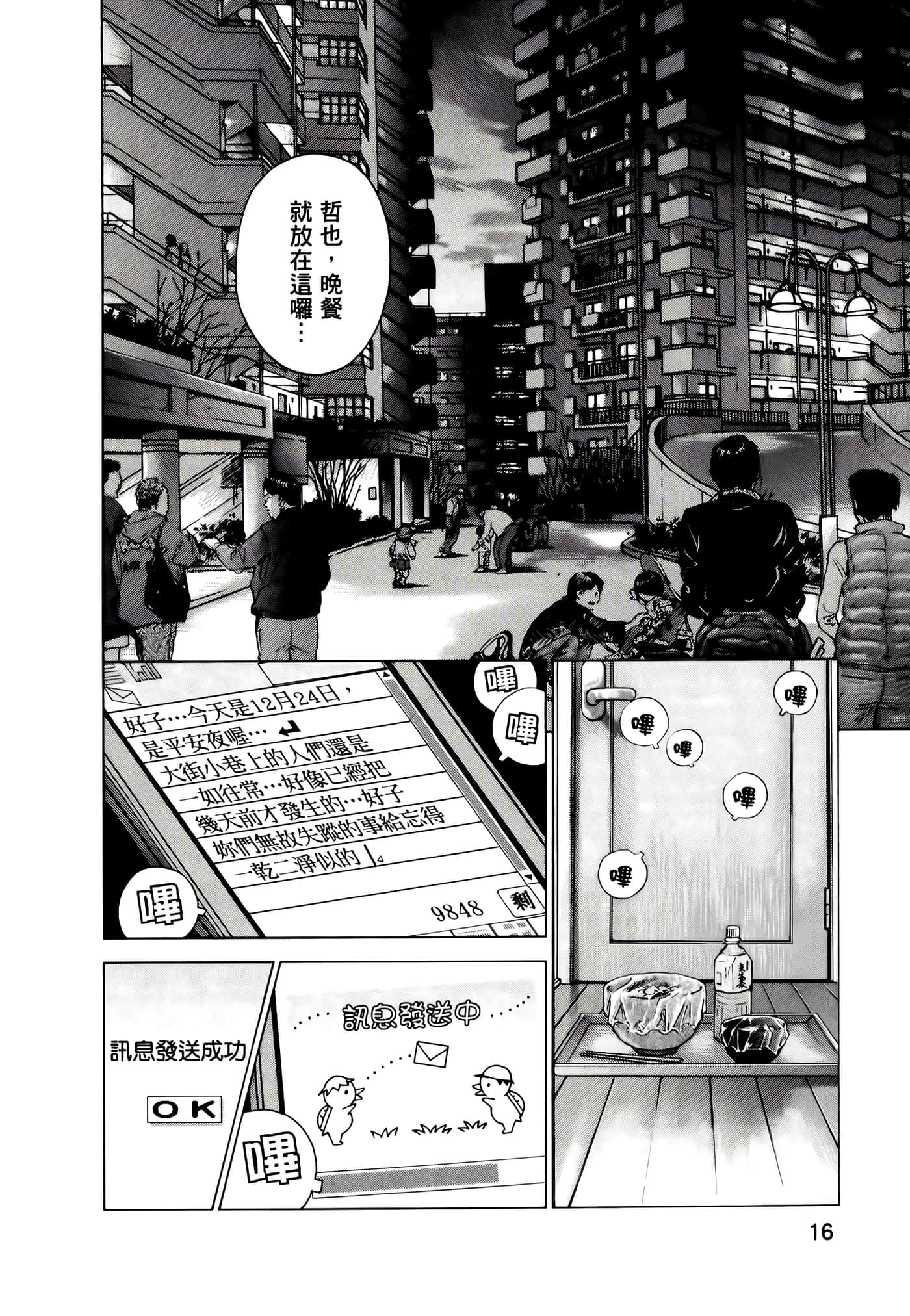 第 16 页