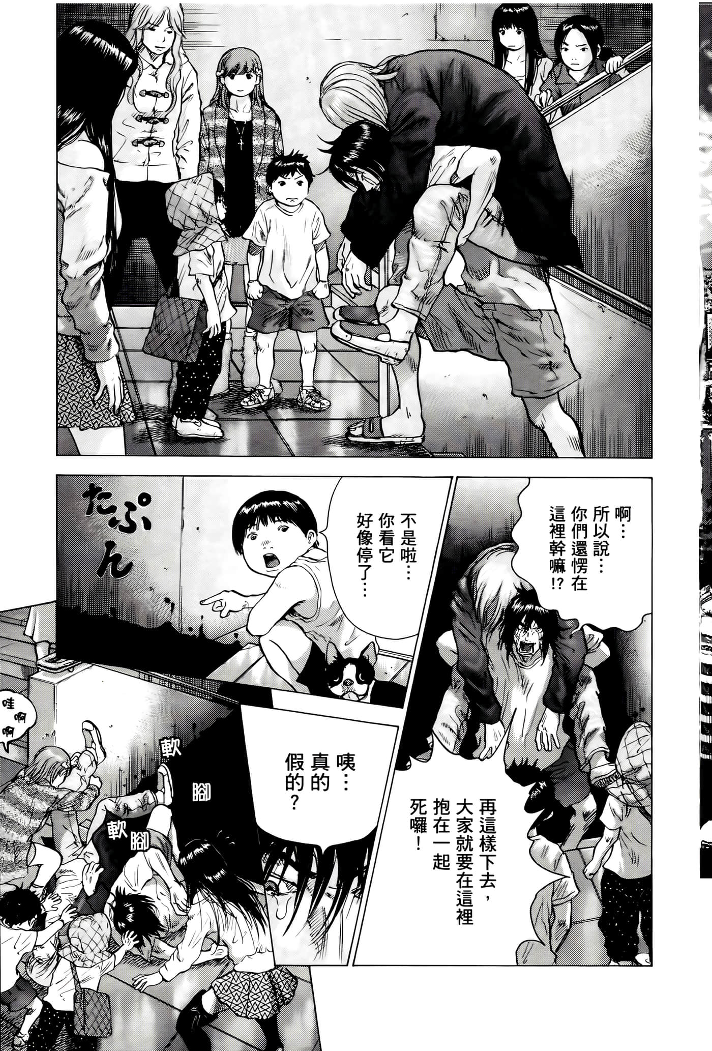 第 49 页
