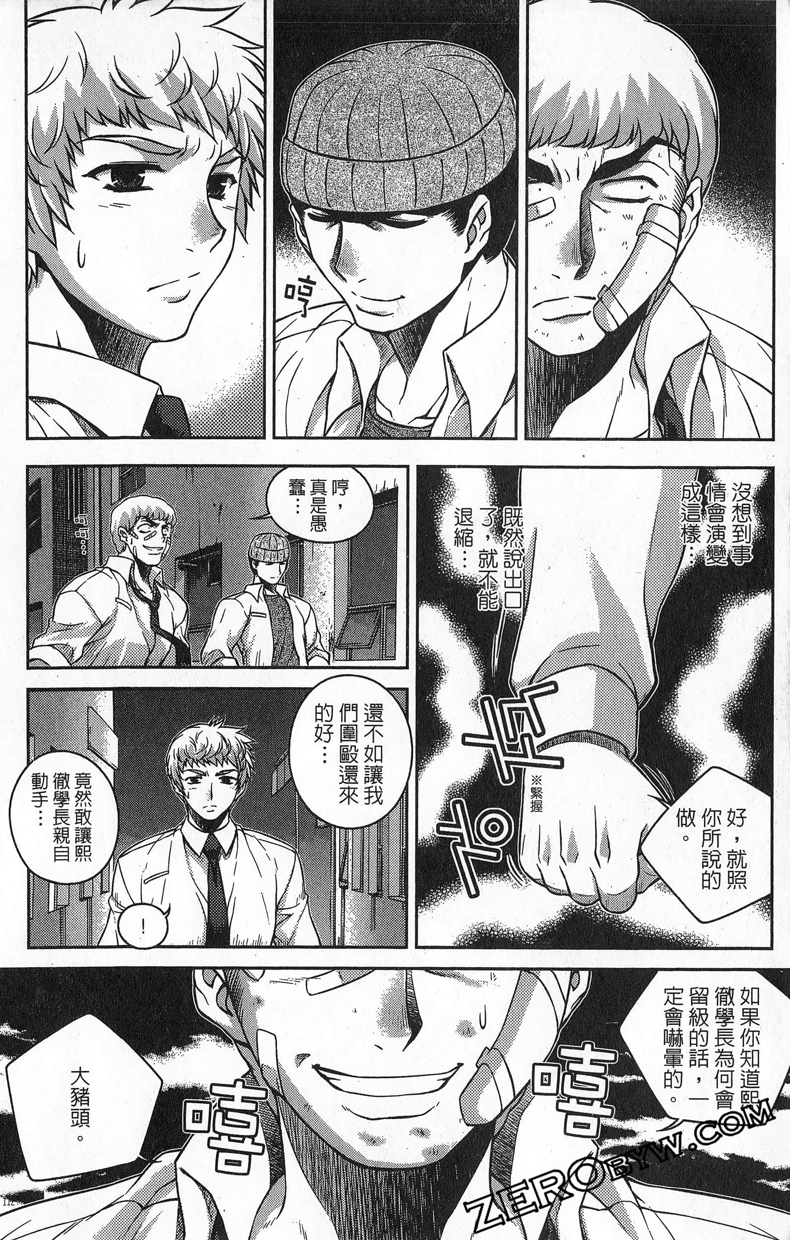 Page 113