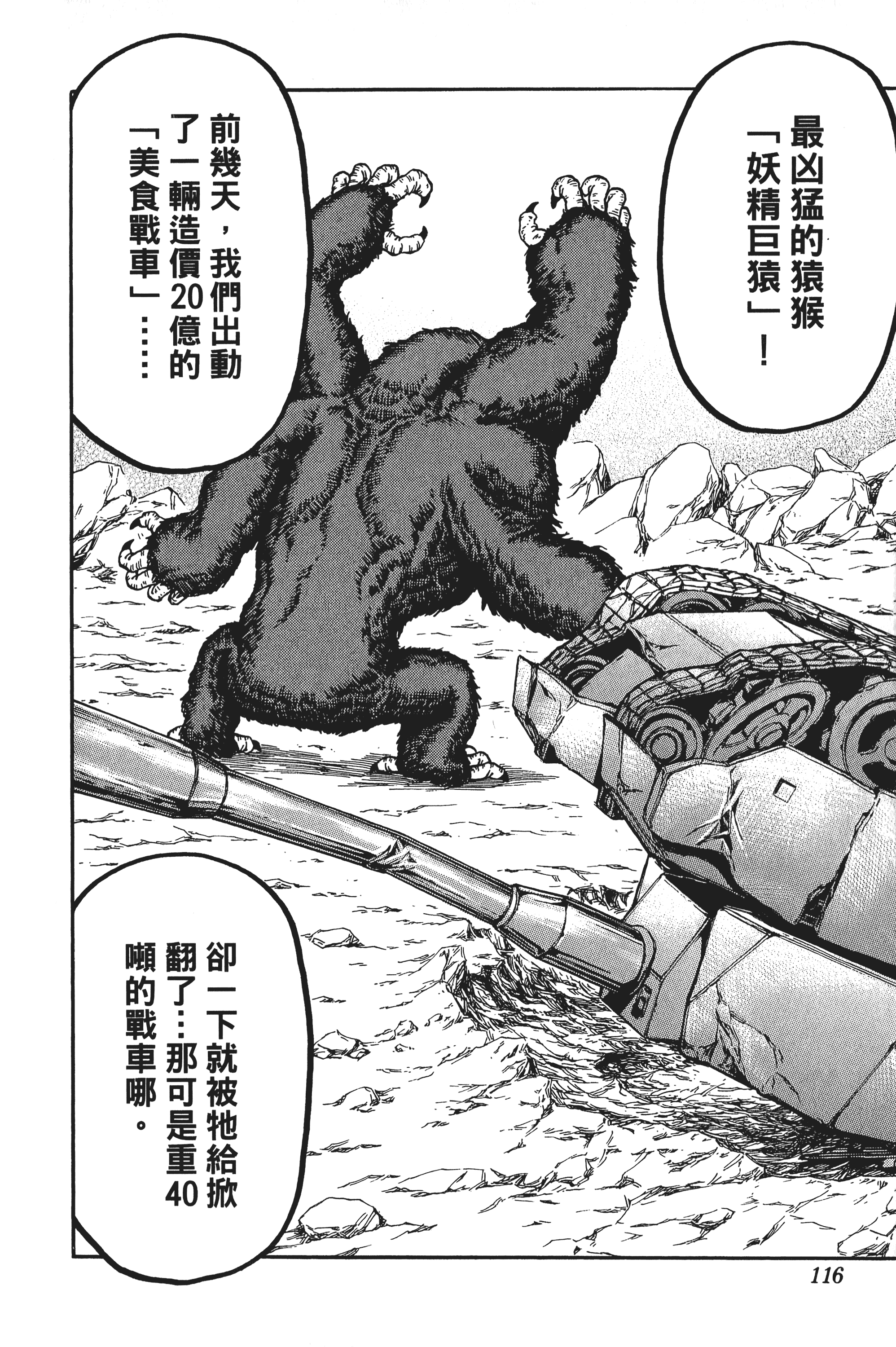 Page 116