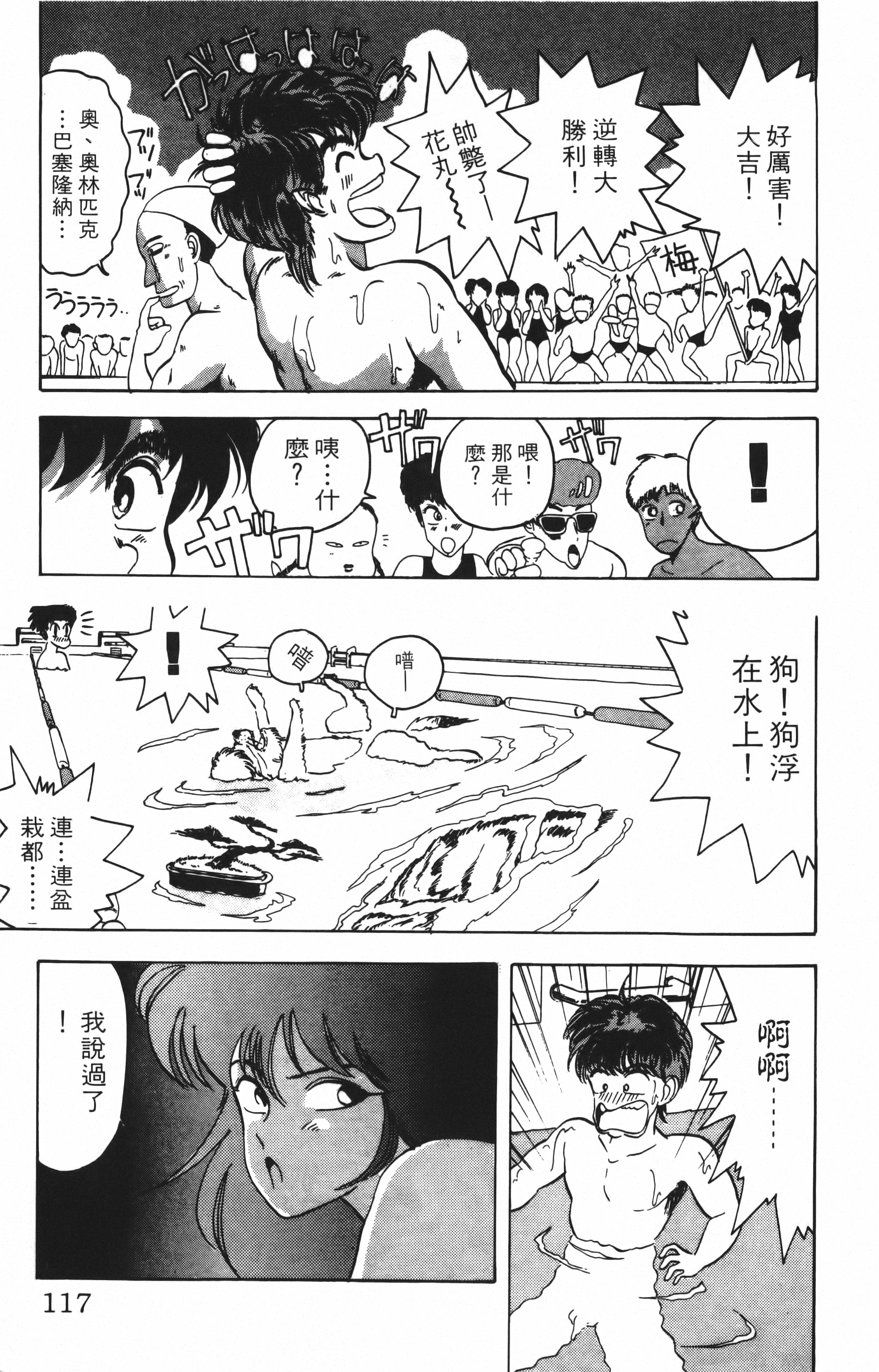 Page 117