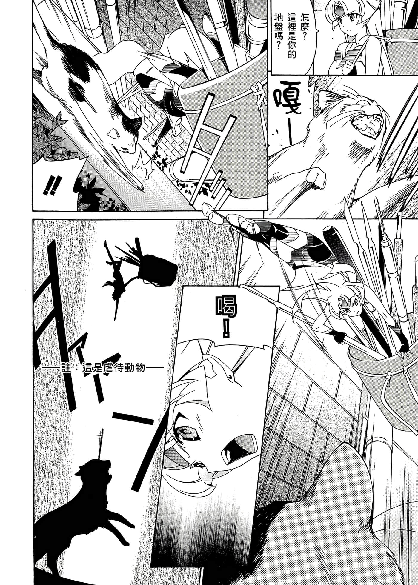 第 38 页