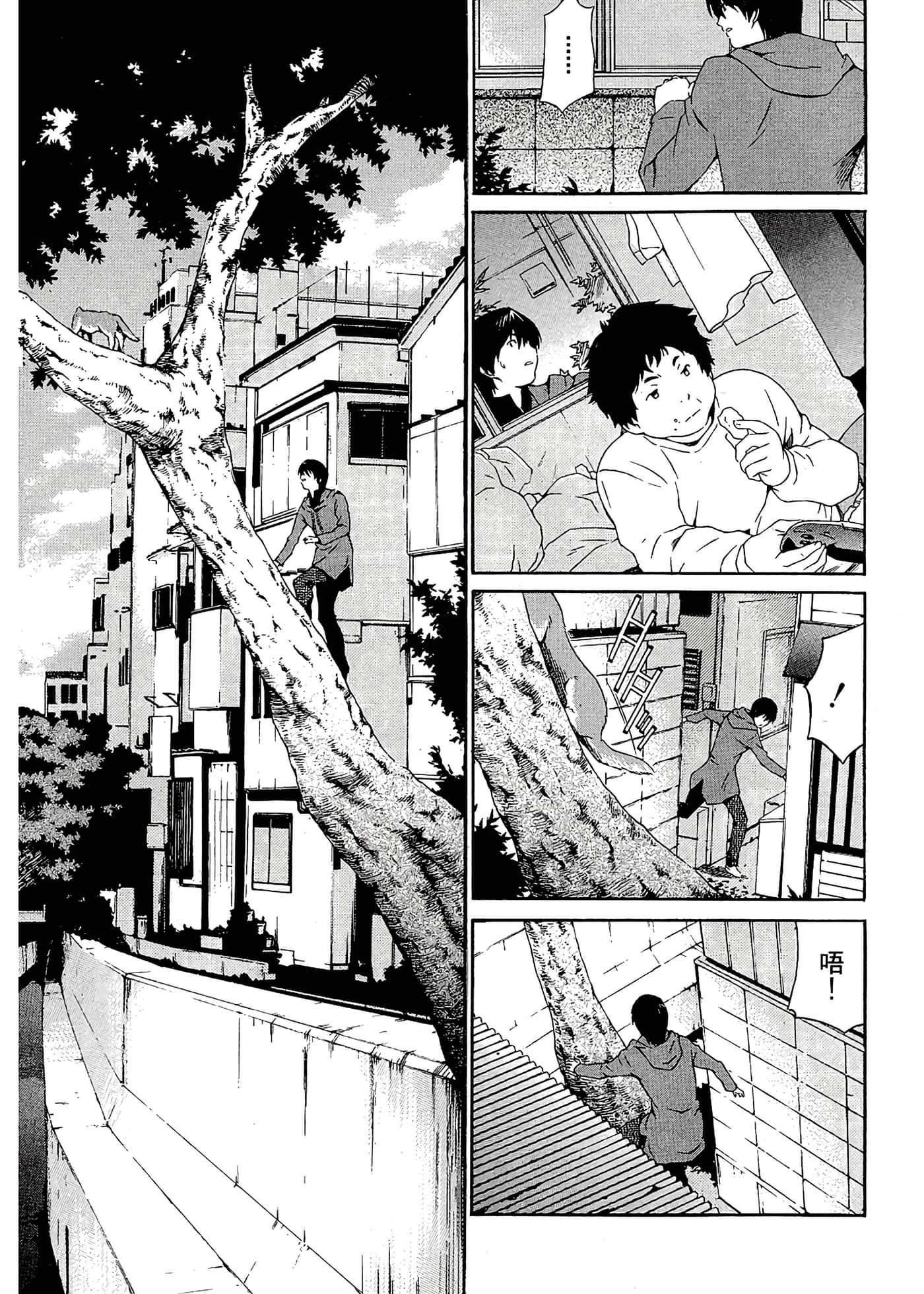 第 45 页