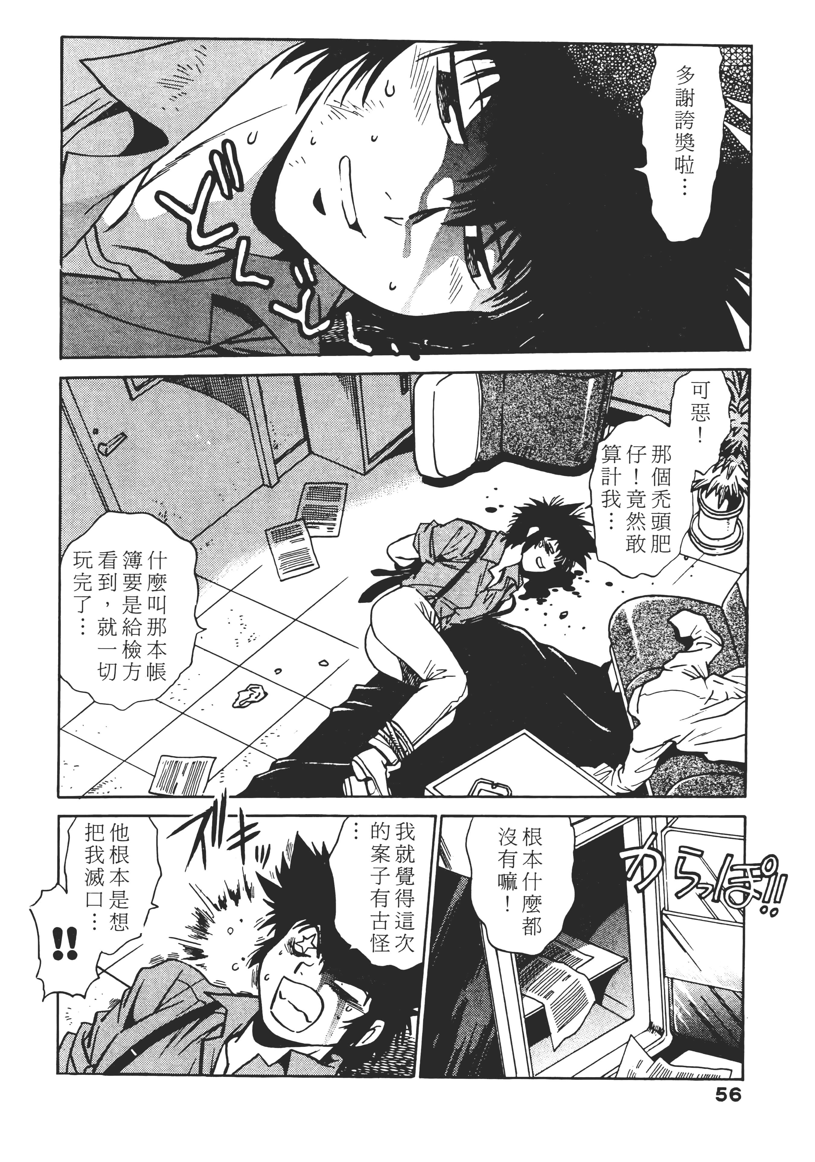 第 56 页