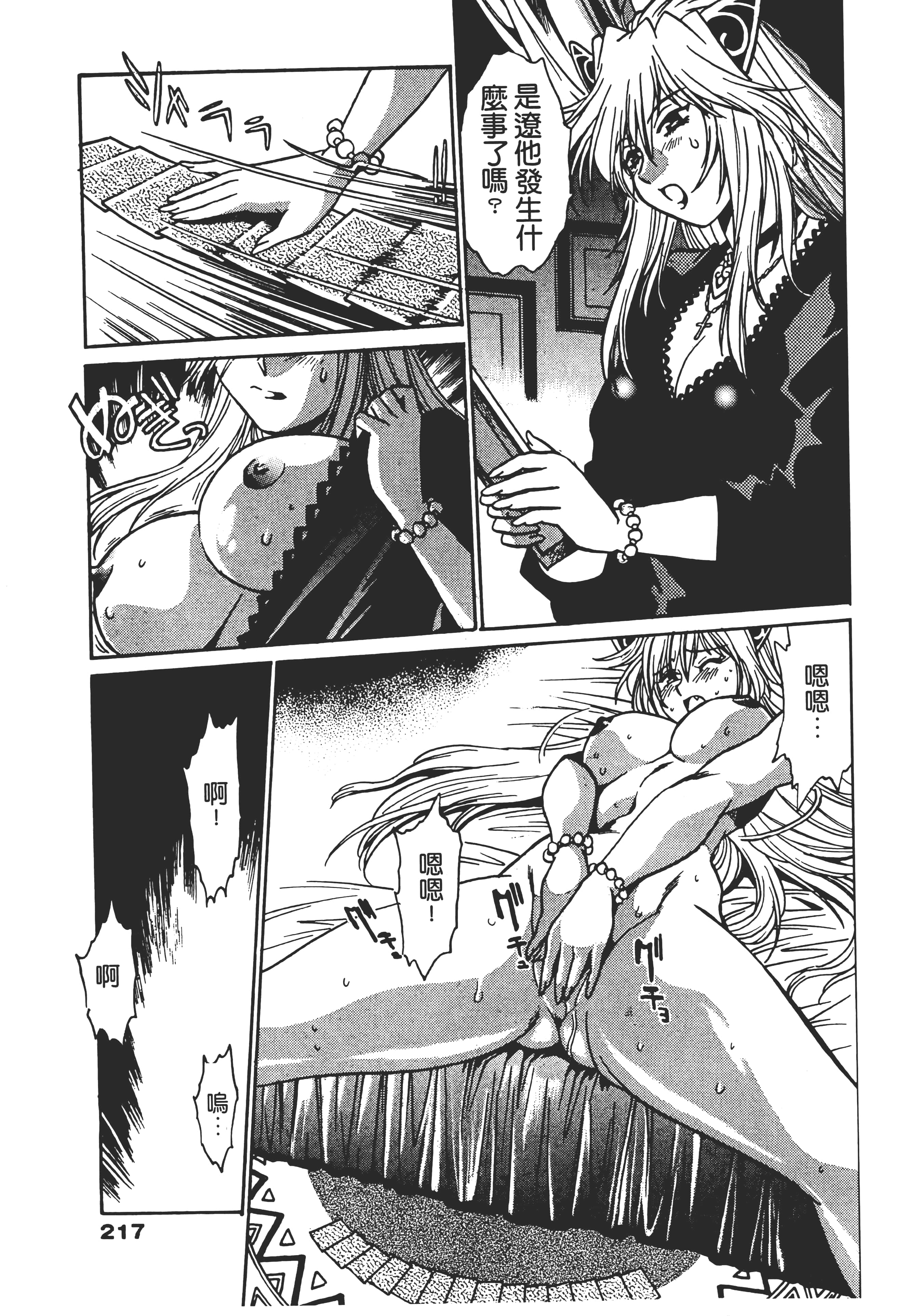 第 217 页