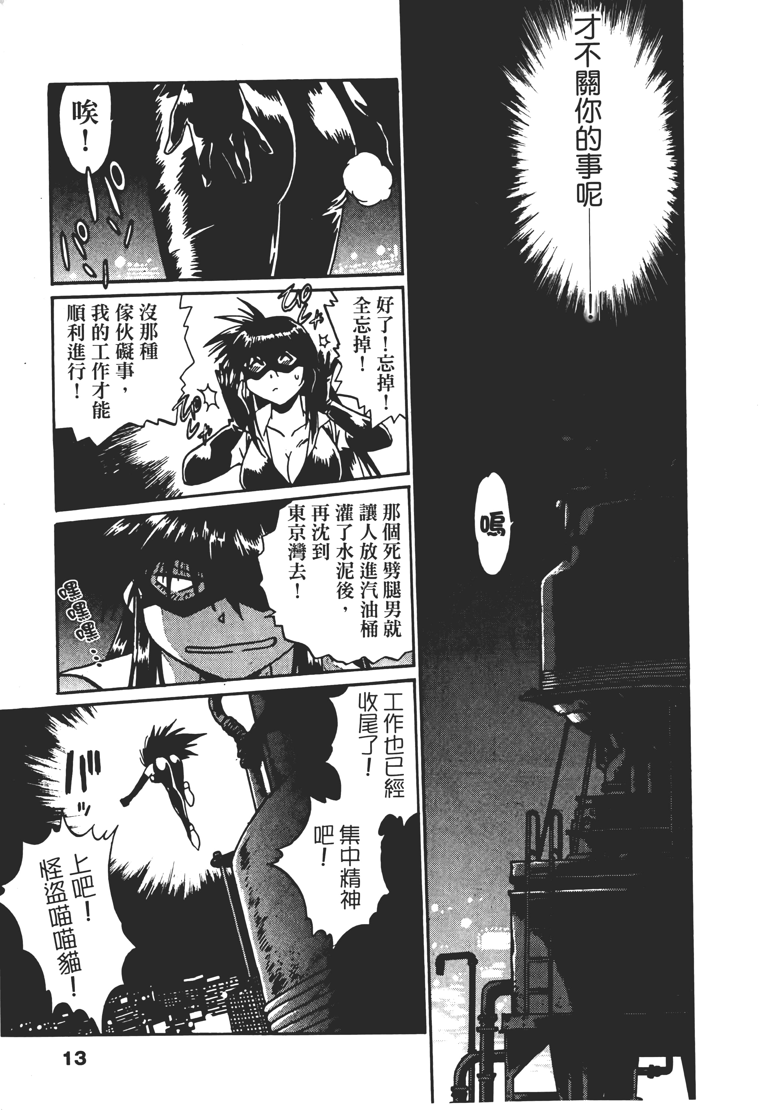 第 13 页