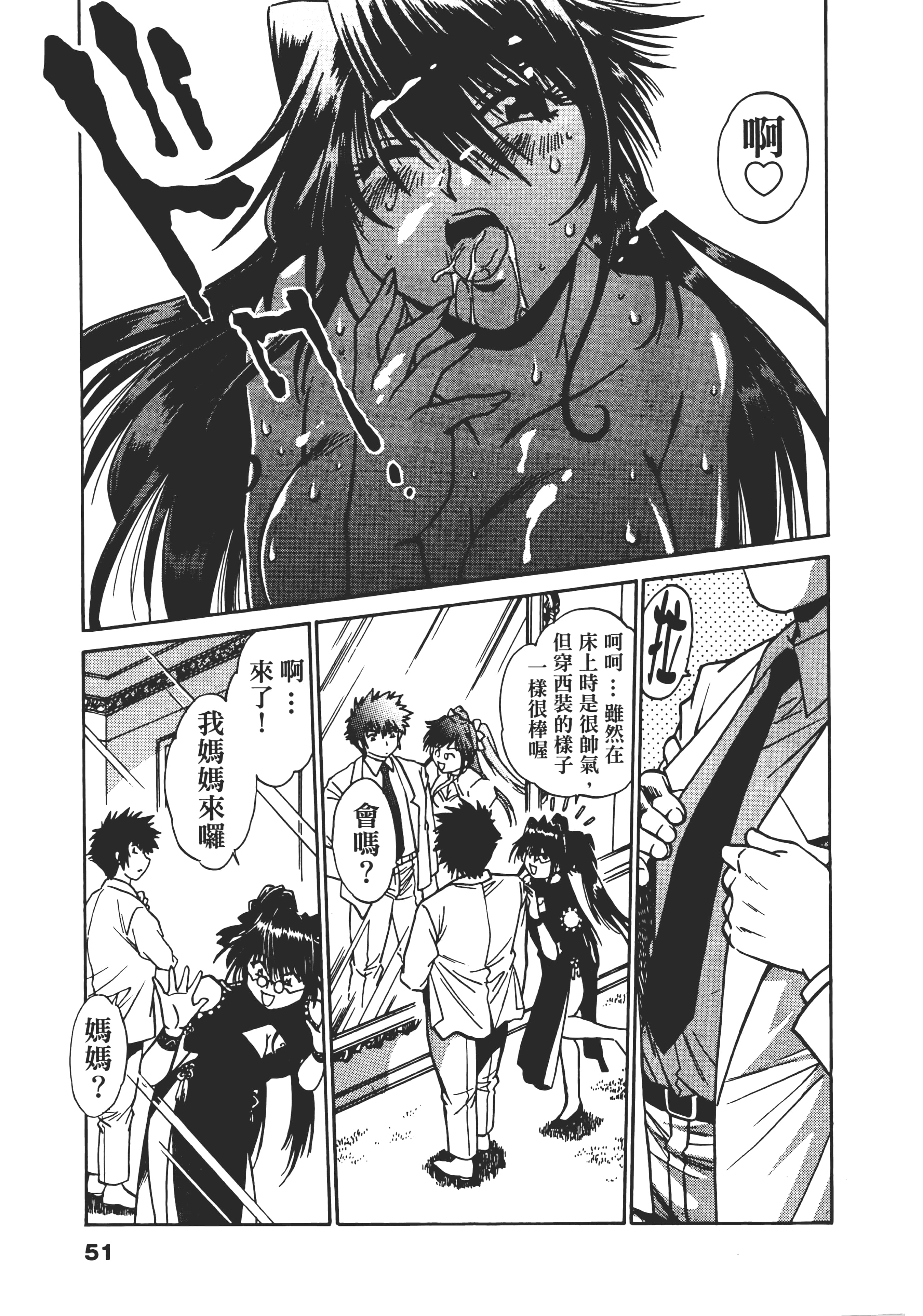 第 51 页