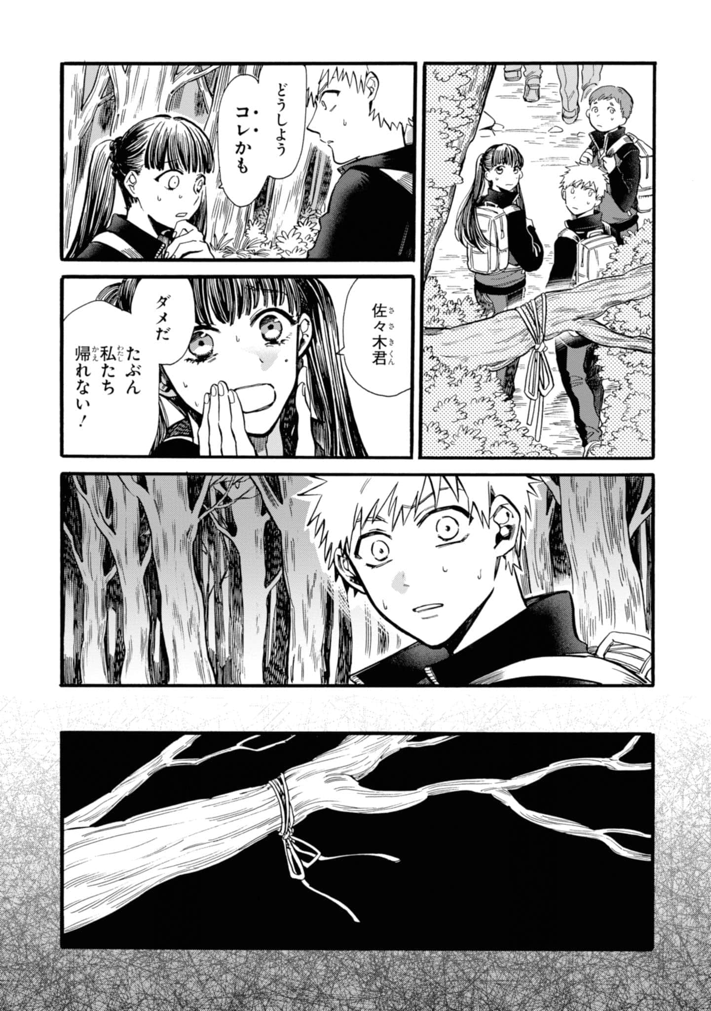 Page 87