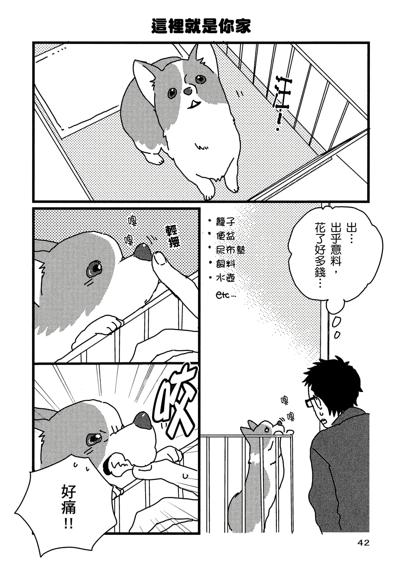 Page 43