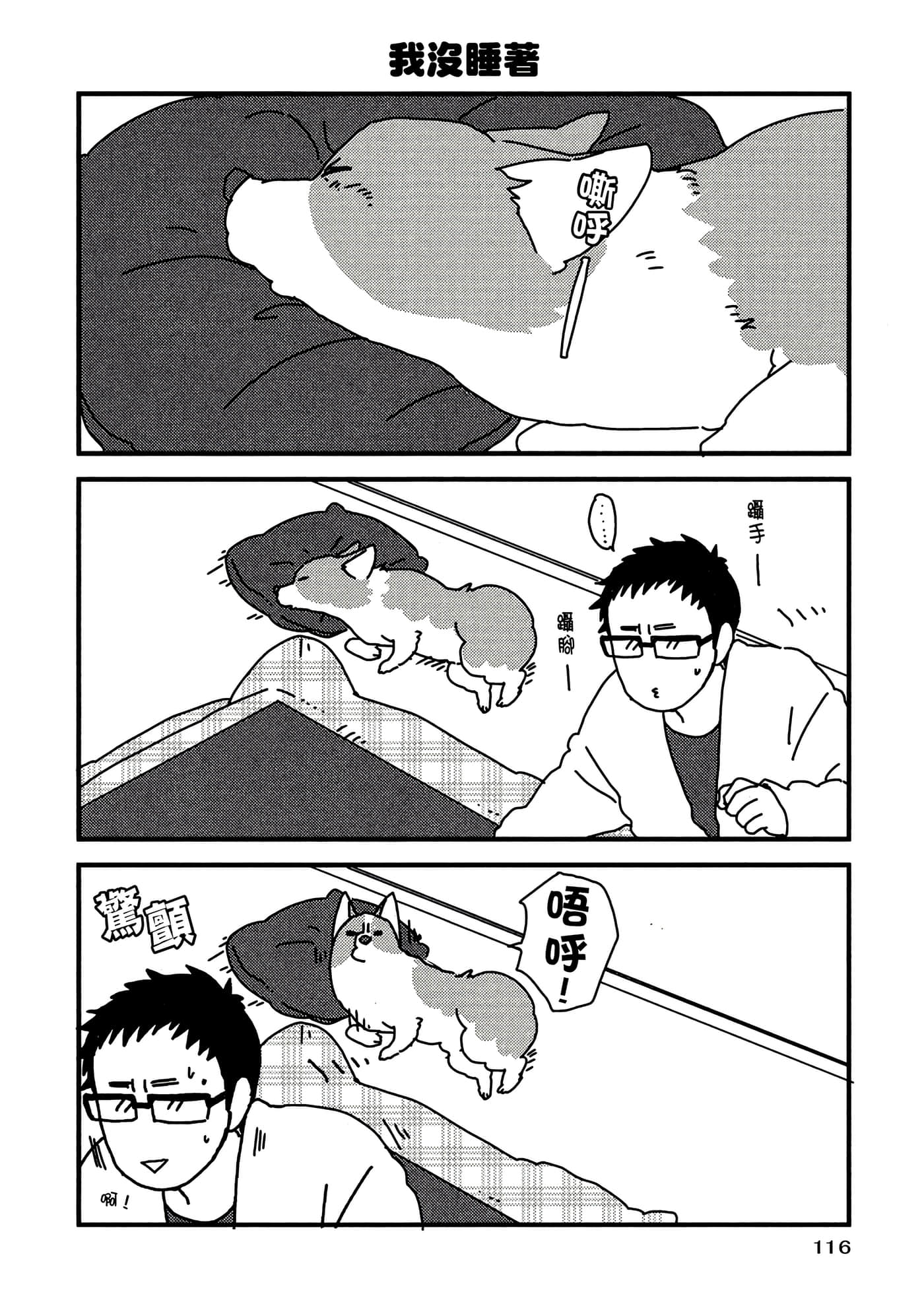 Page 117