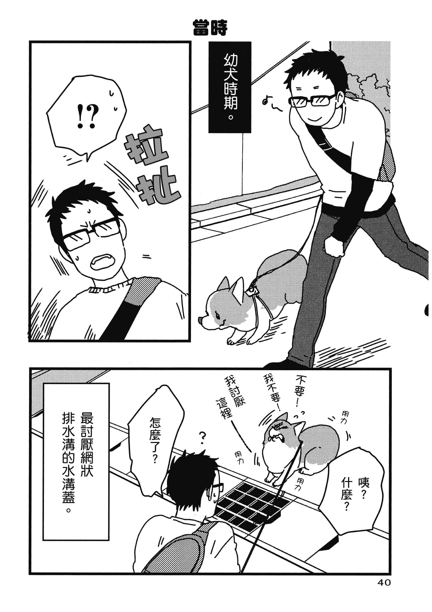 Page 41