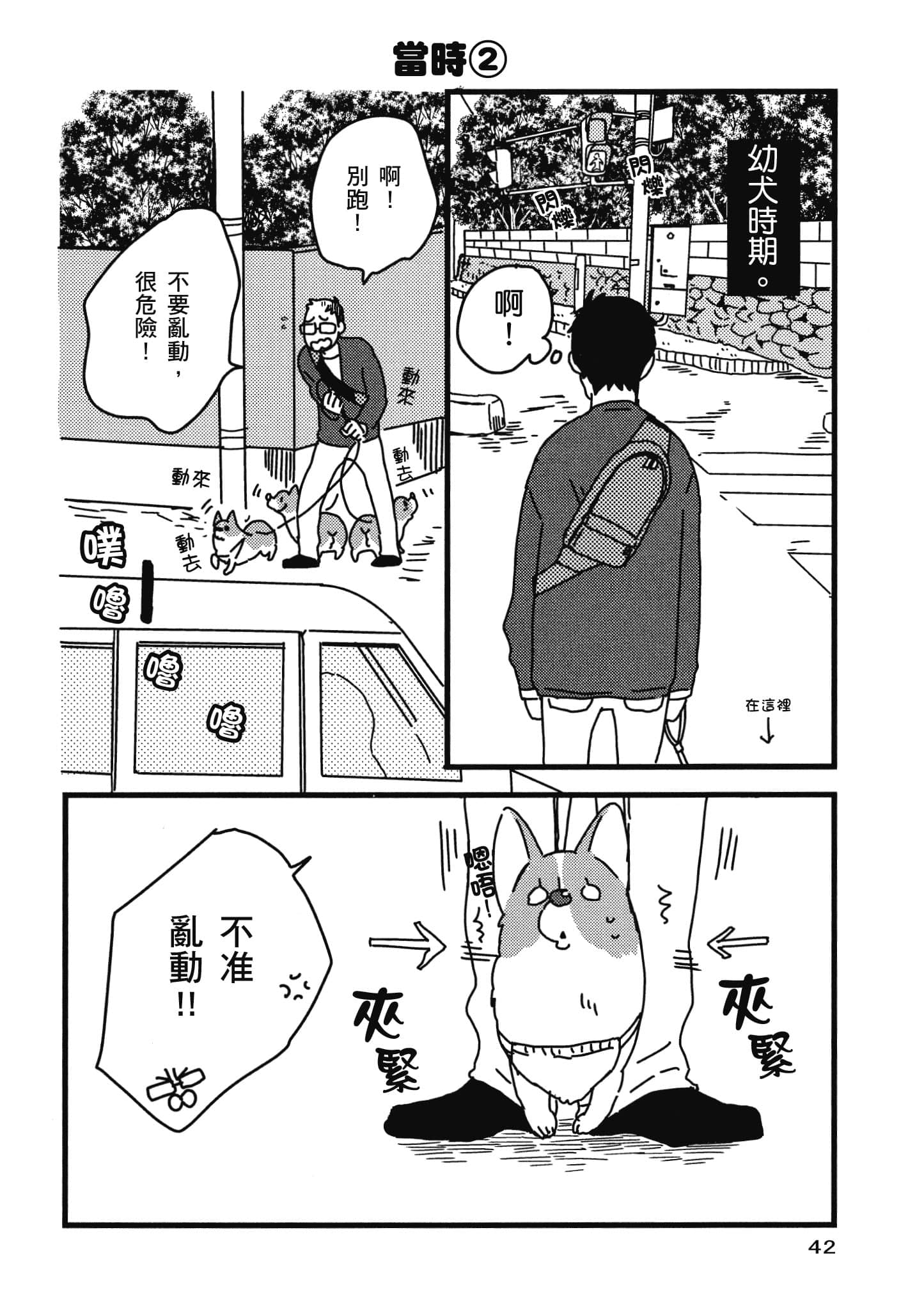 Page 43
