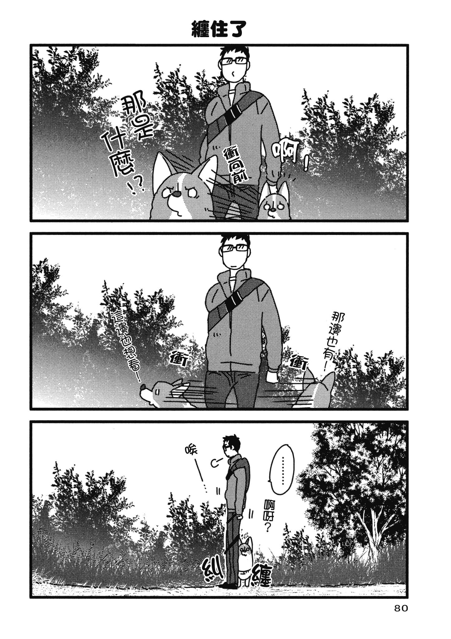 Page 81