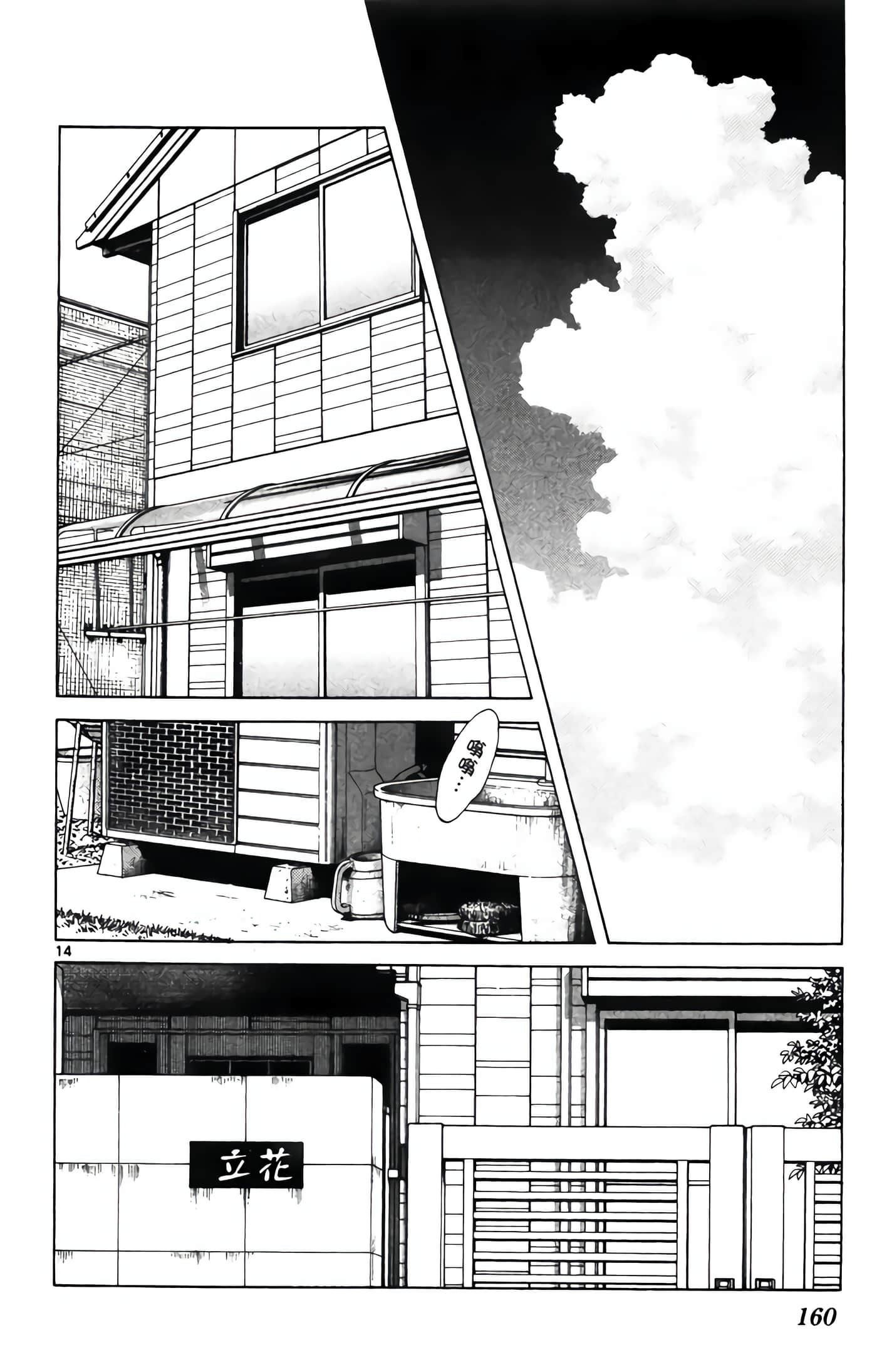 Page 161