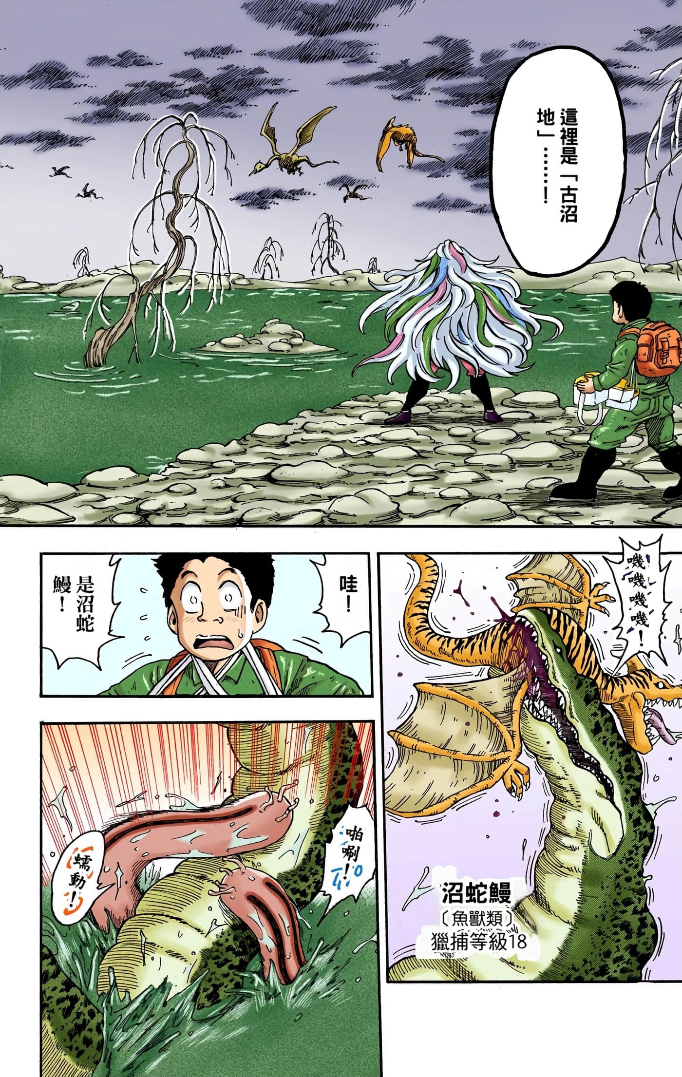 Page 51