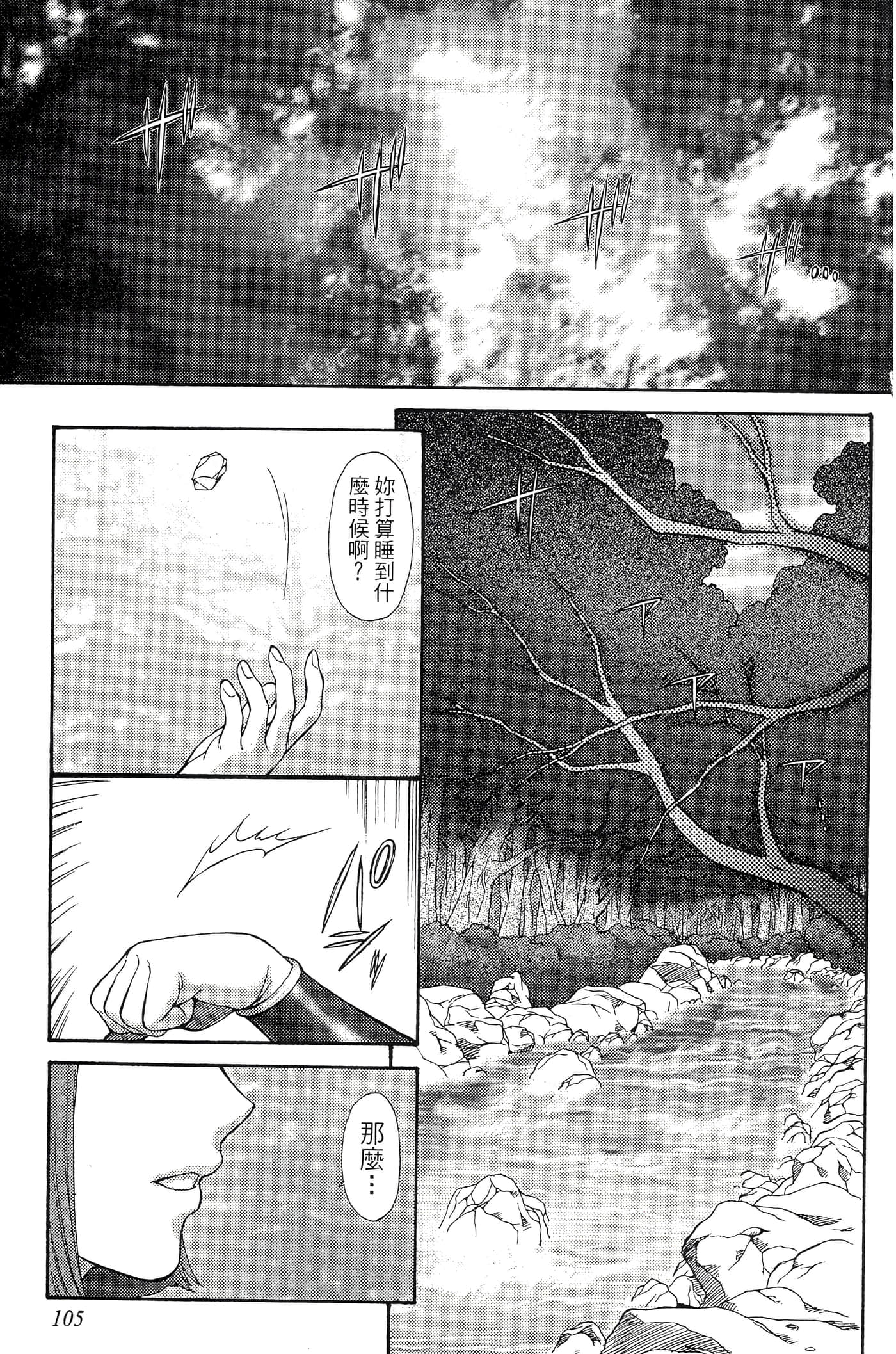 第 106 页
