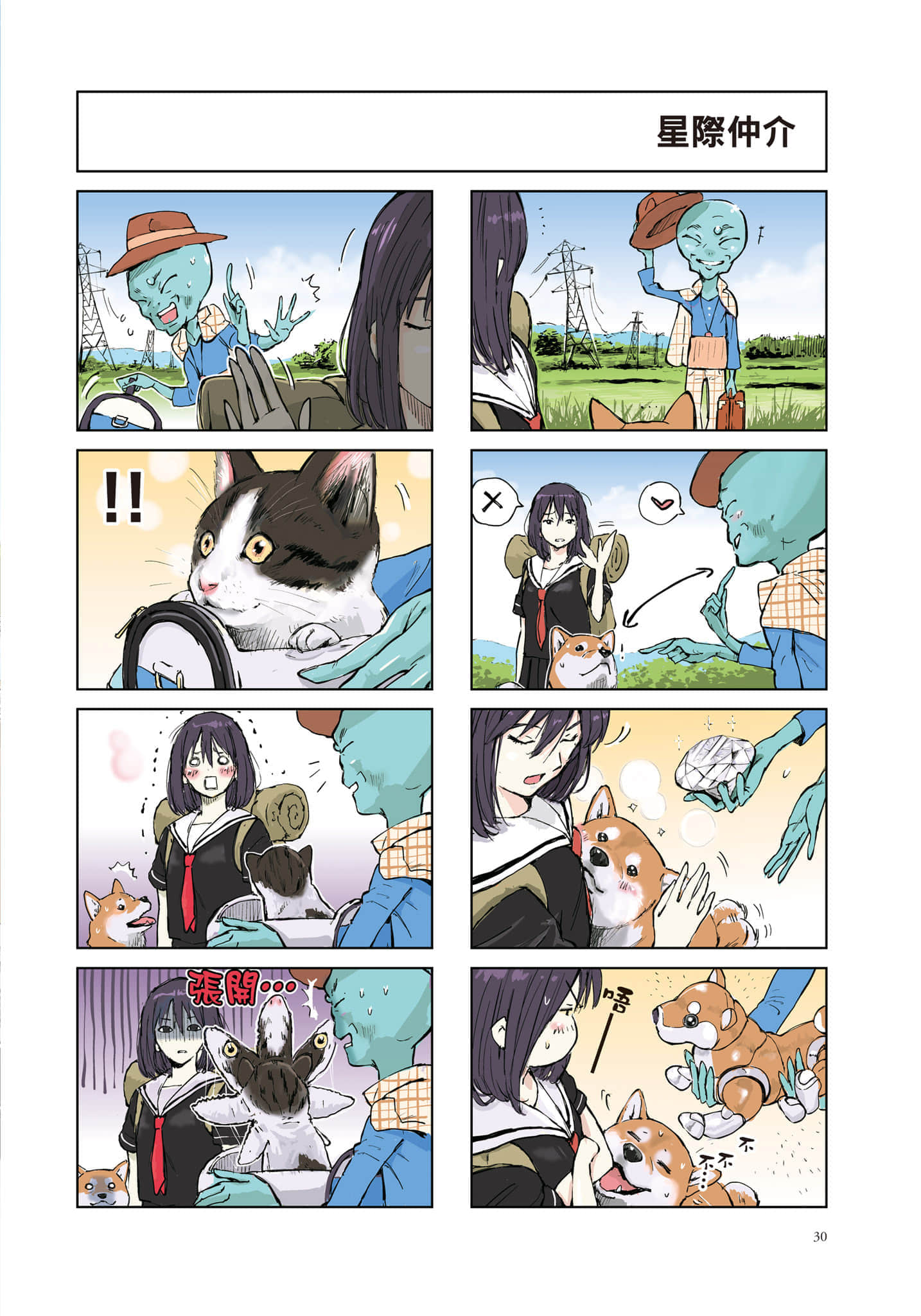 Page 31