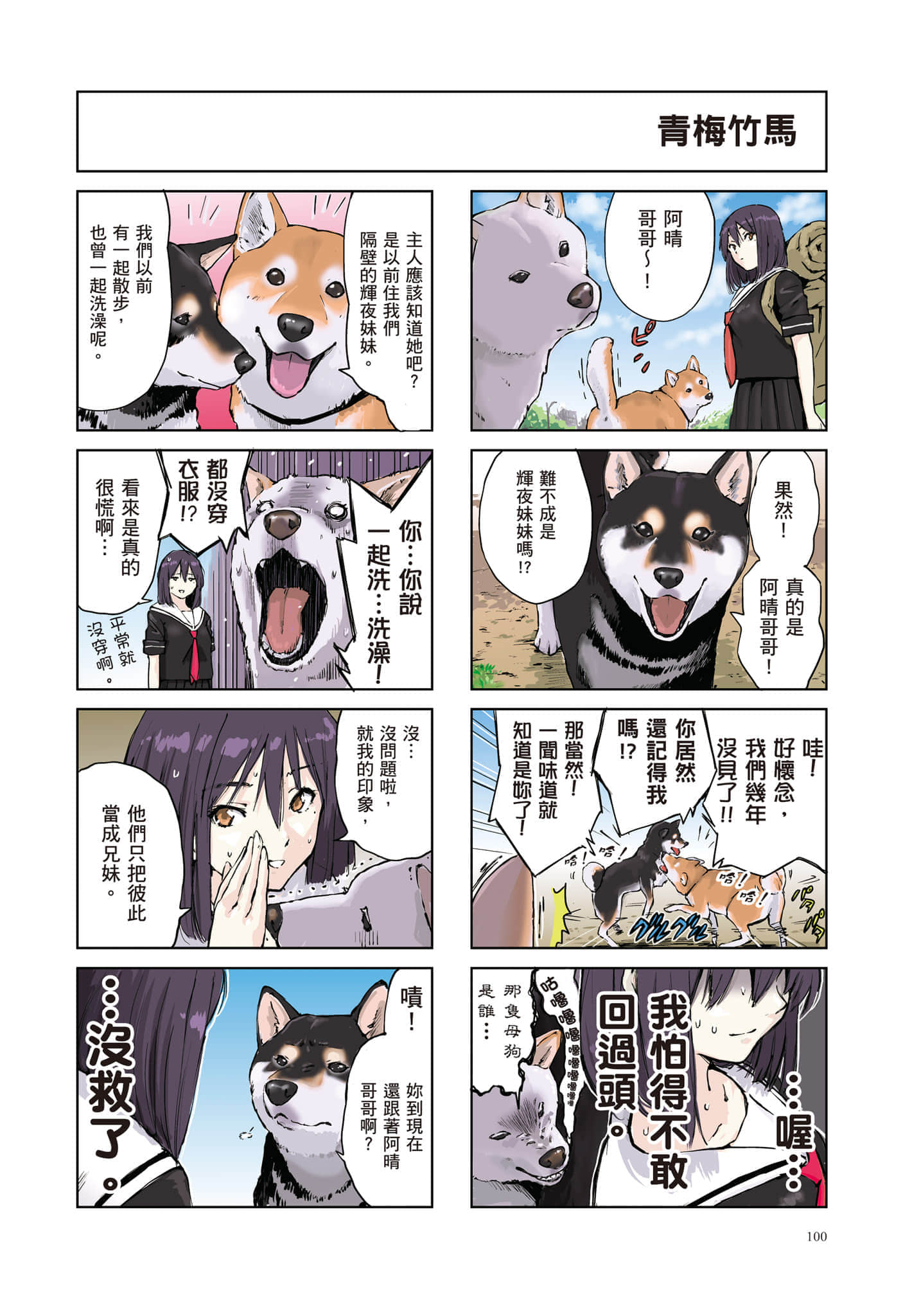 Page 101