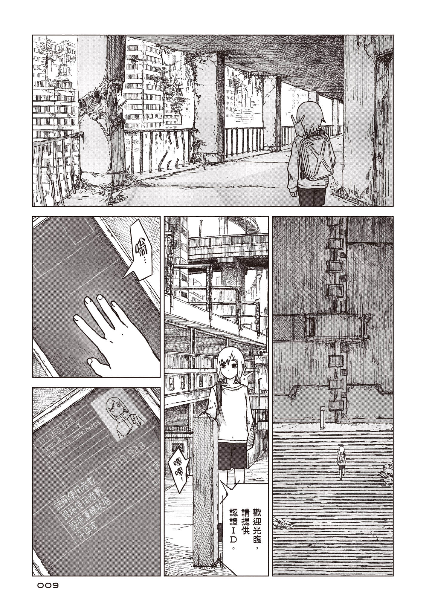 第 10 页