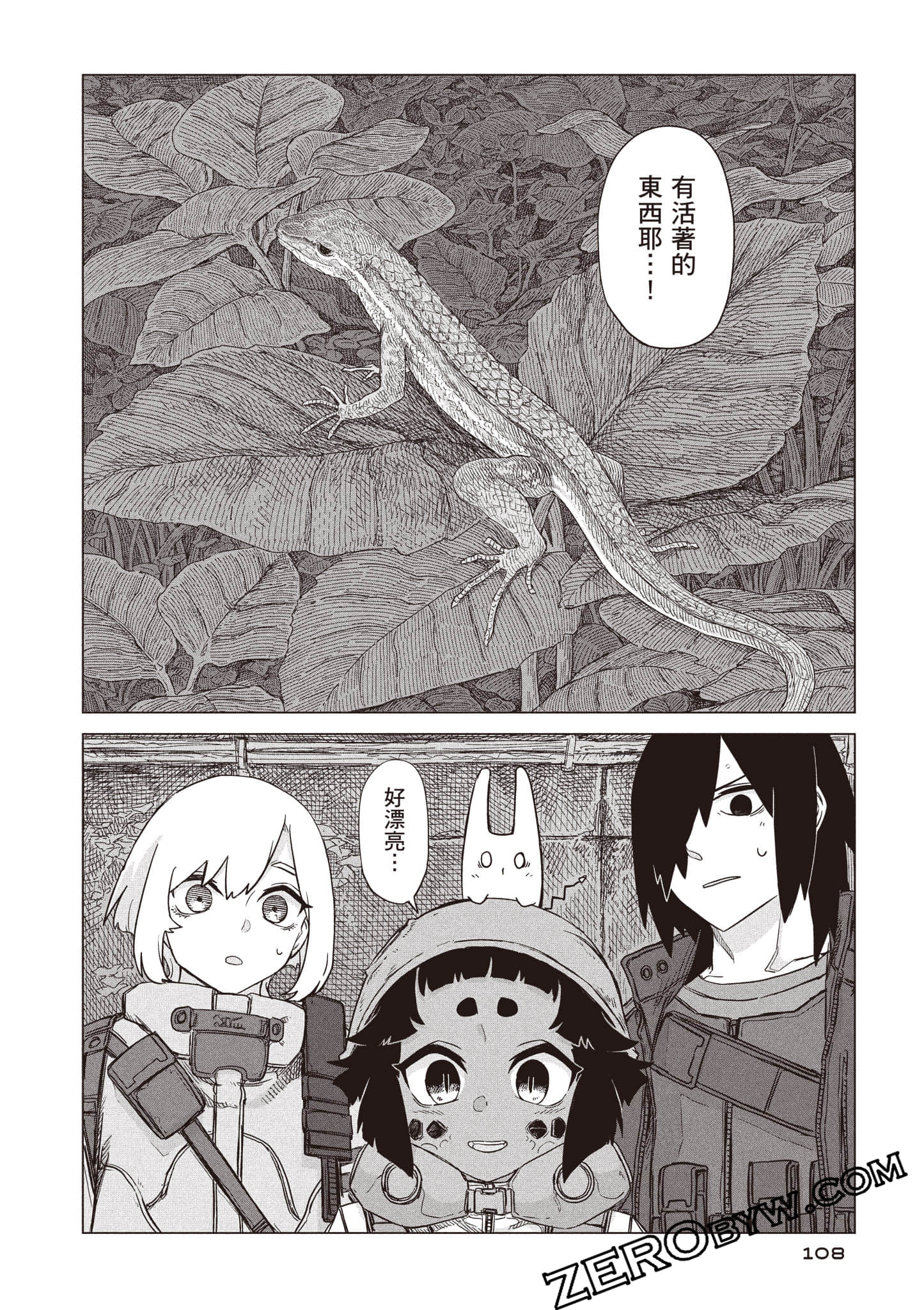 第 109 页