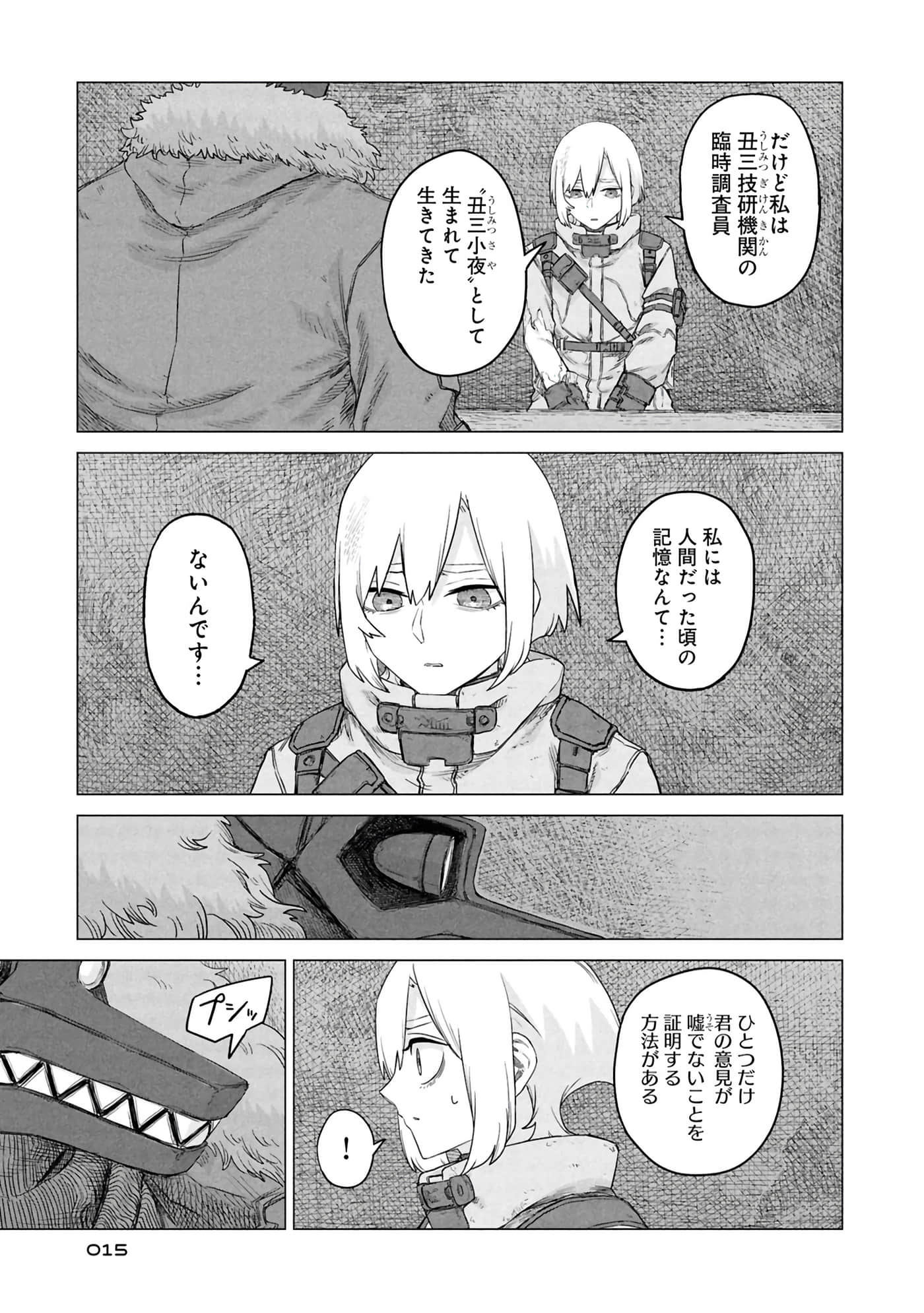 第 17 页
