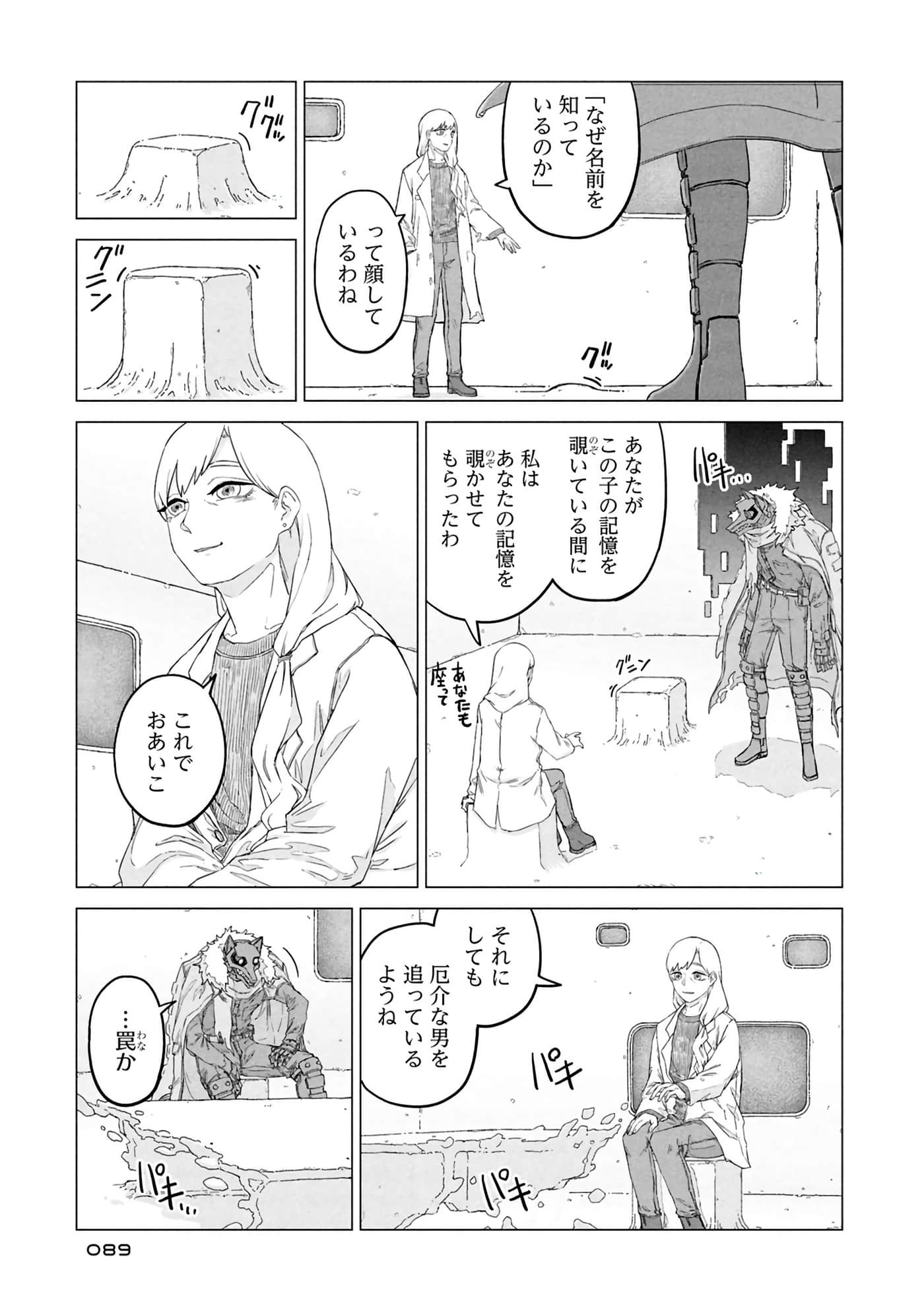 第 91 页