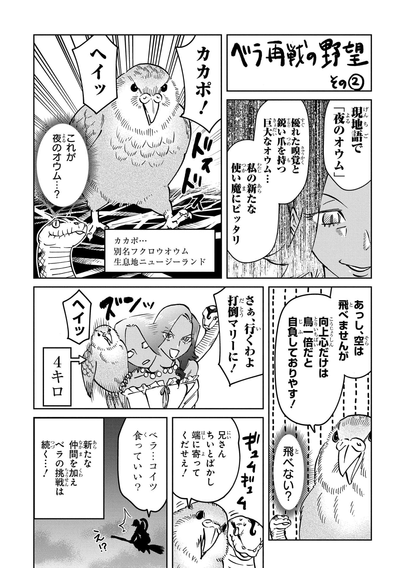 Page 224