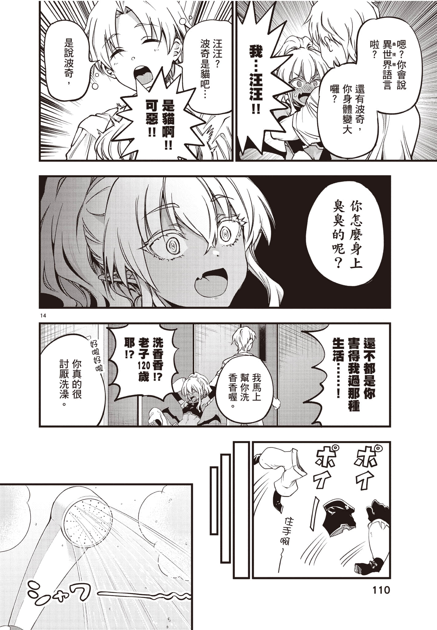 Page 111