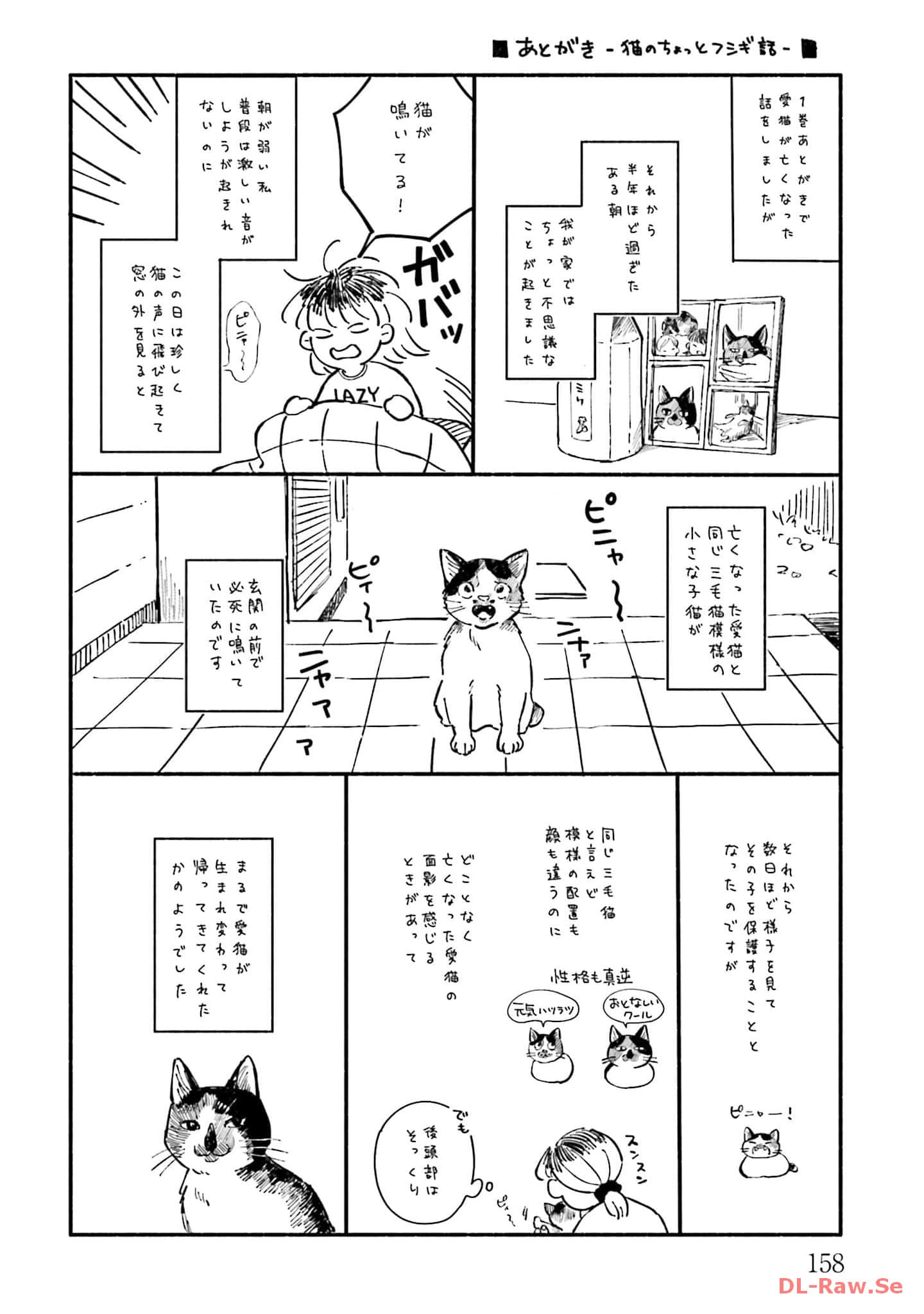 Page 159