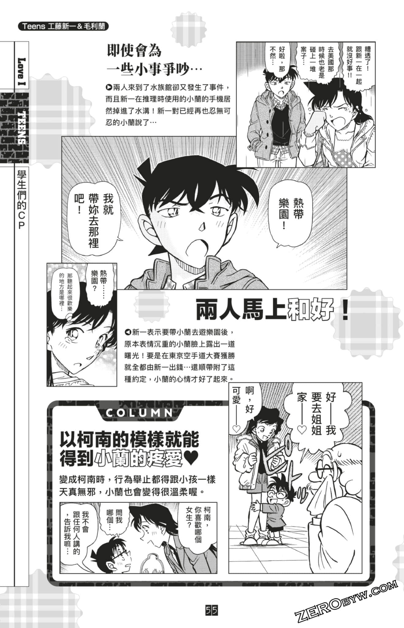 Page 55