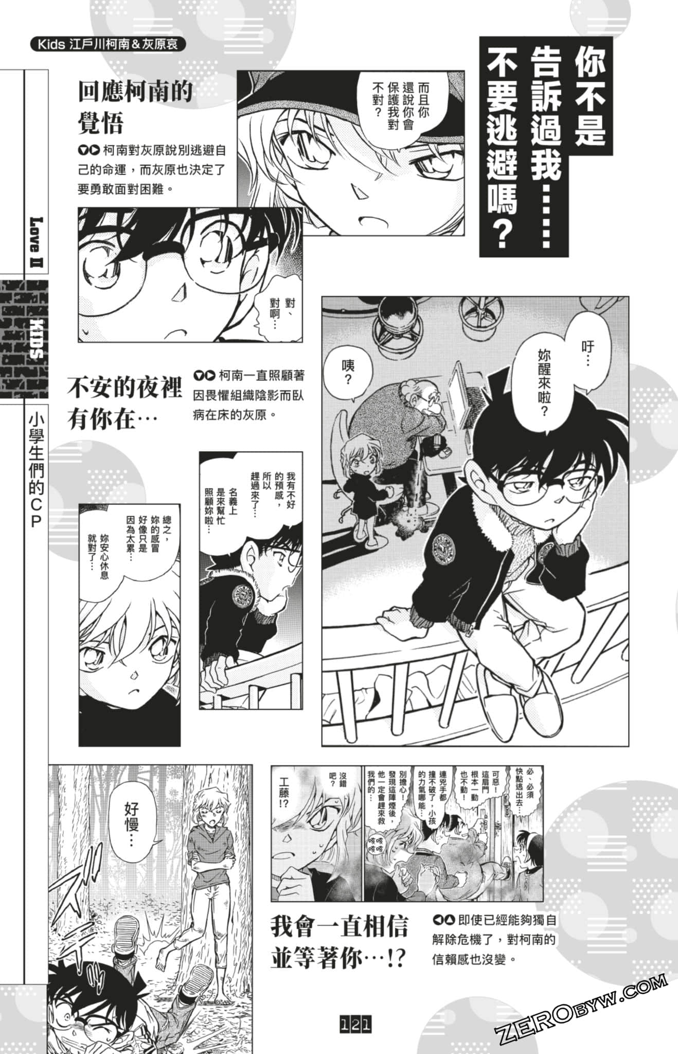 Page 121