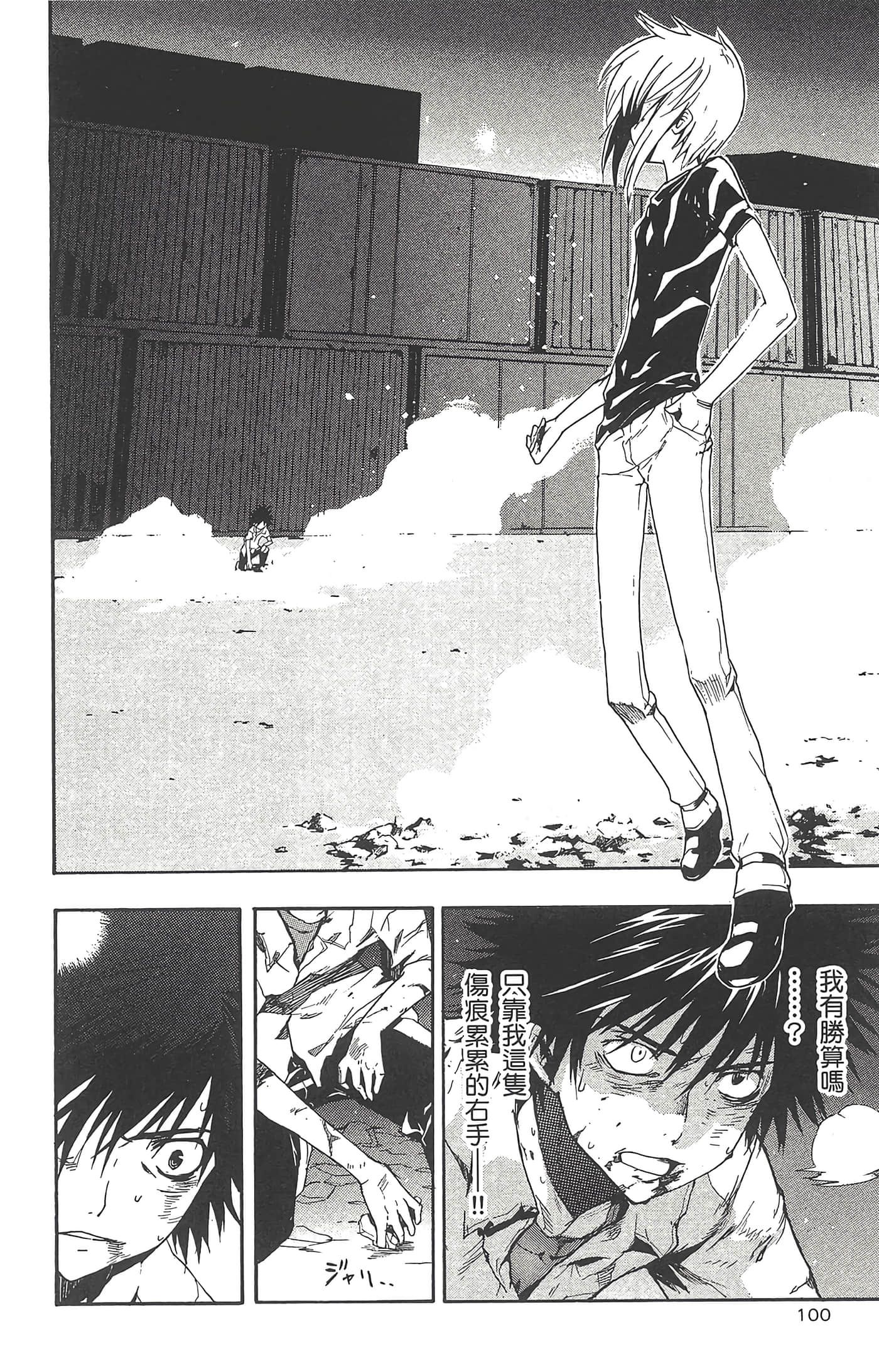 Page 102