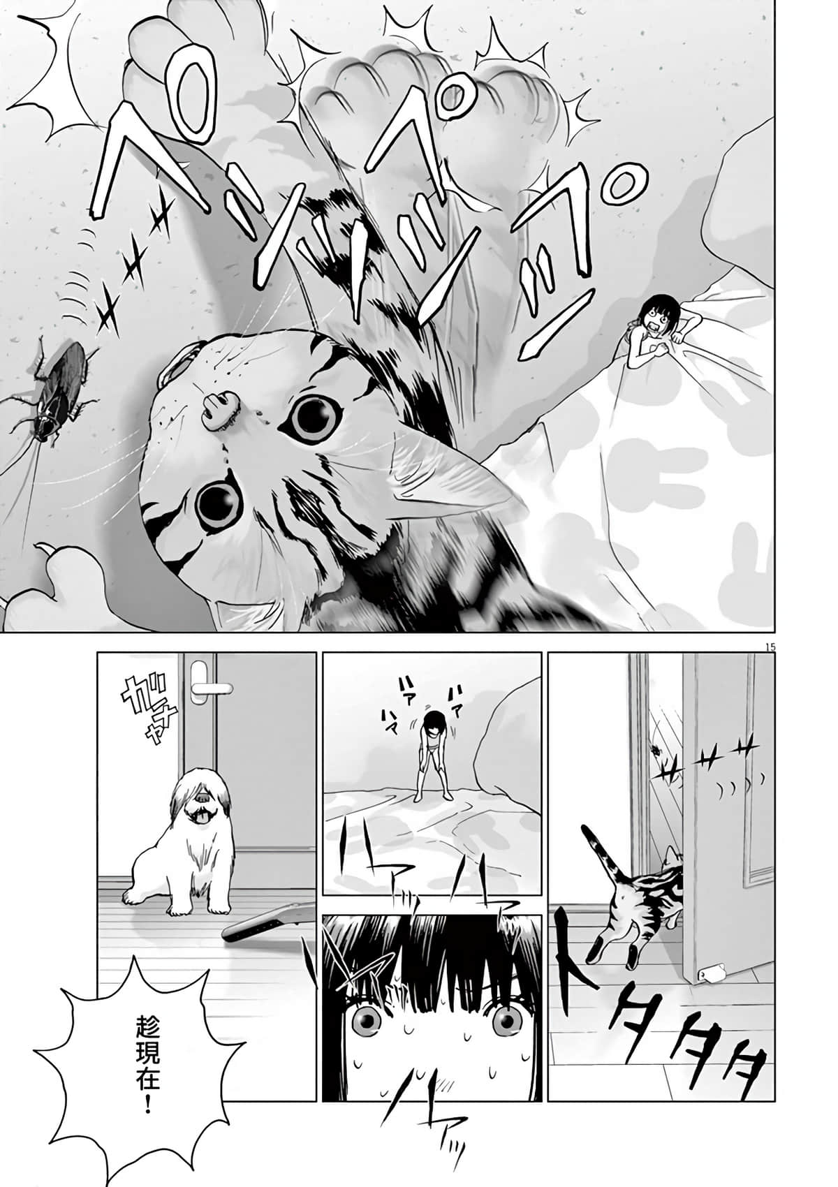 第 13 页