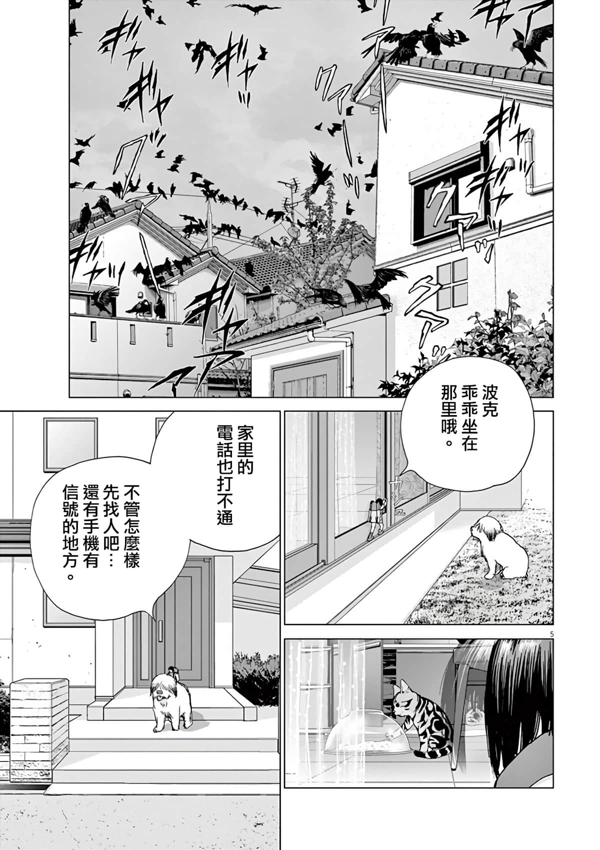 第 5 页