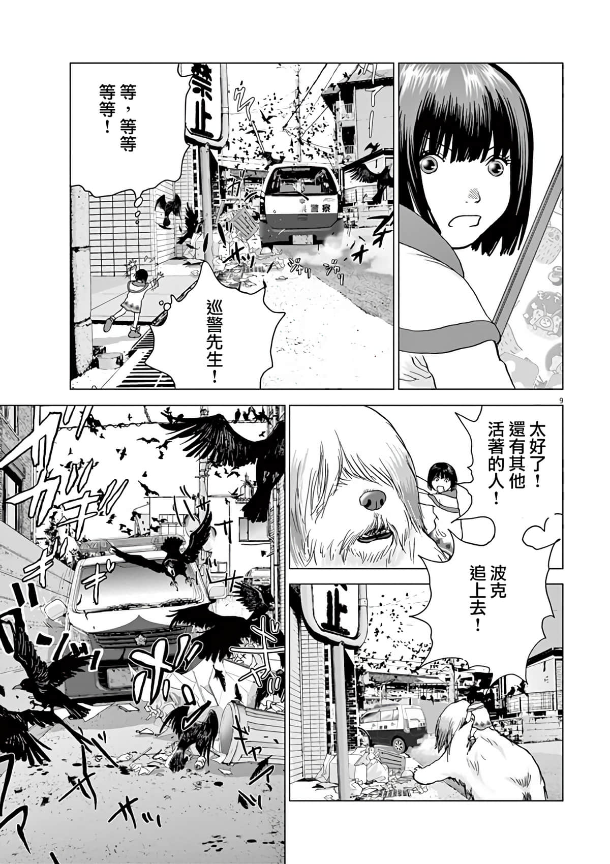 第 8 页