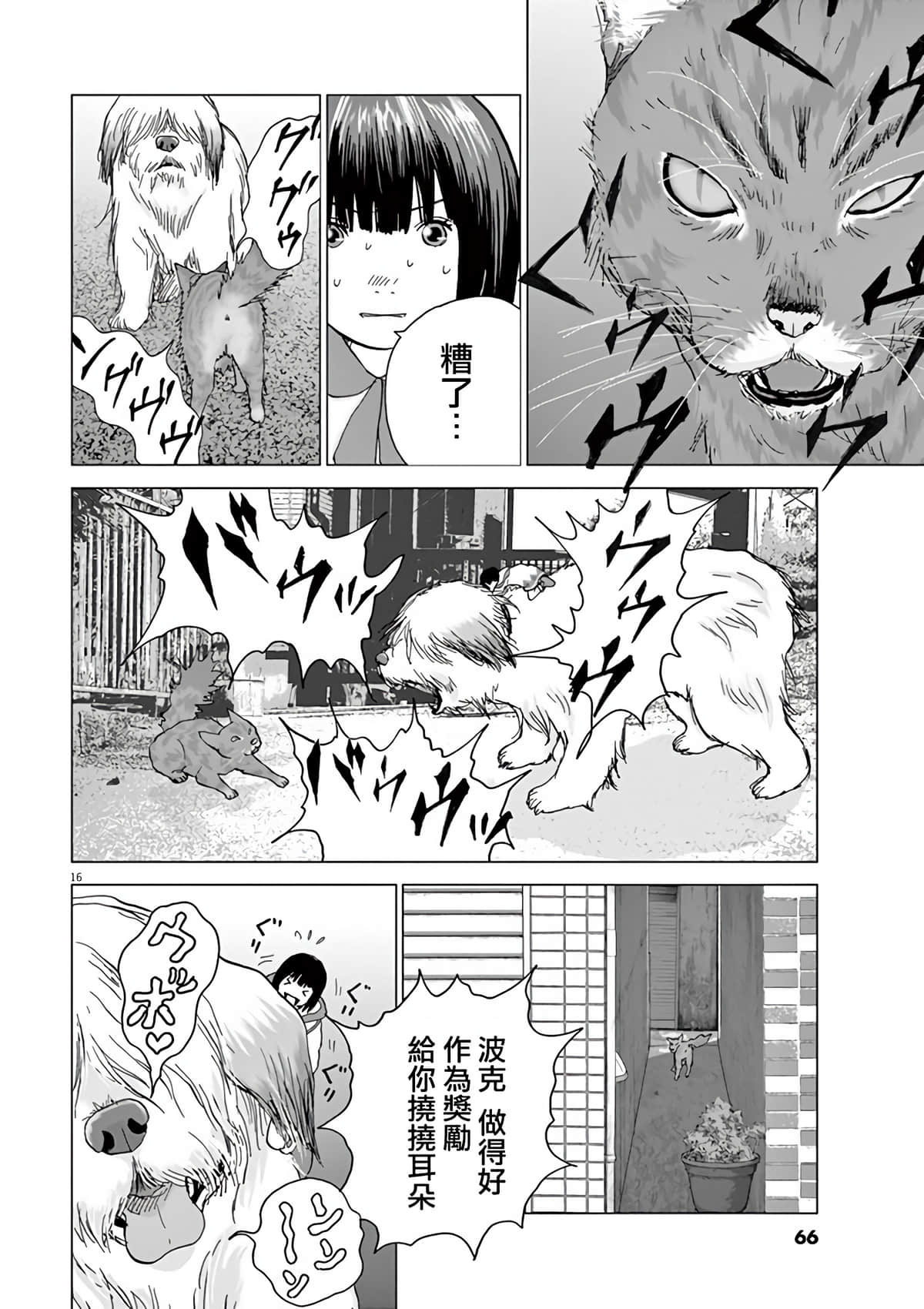 第 14 页