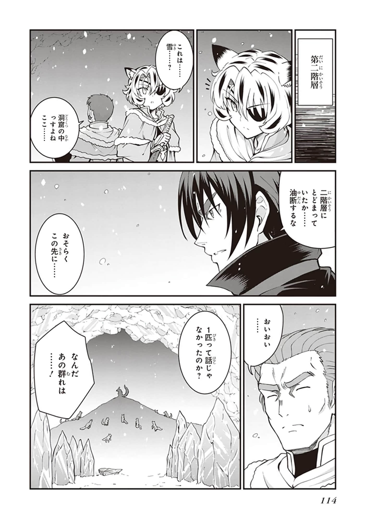第 116 页