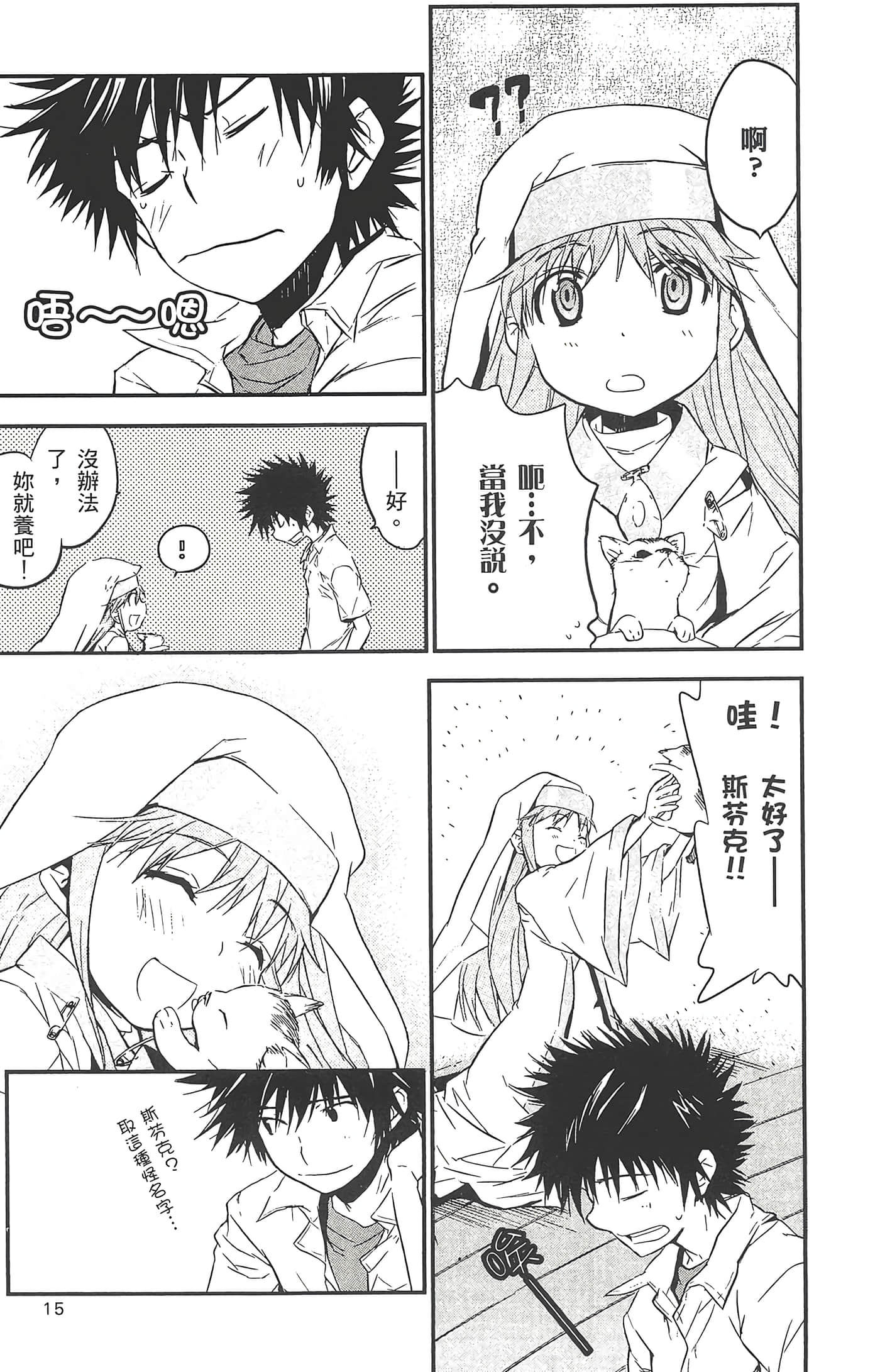 第 17 页
