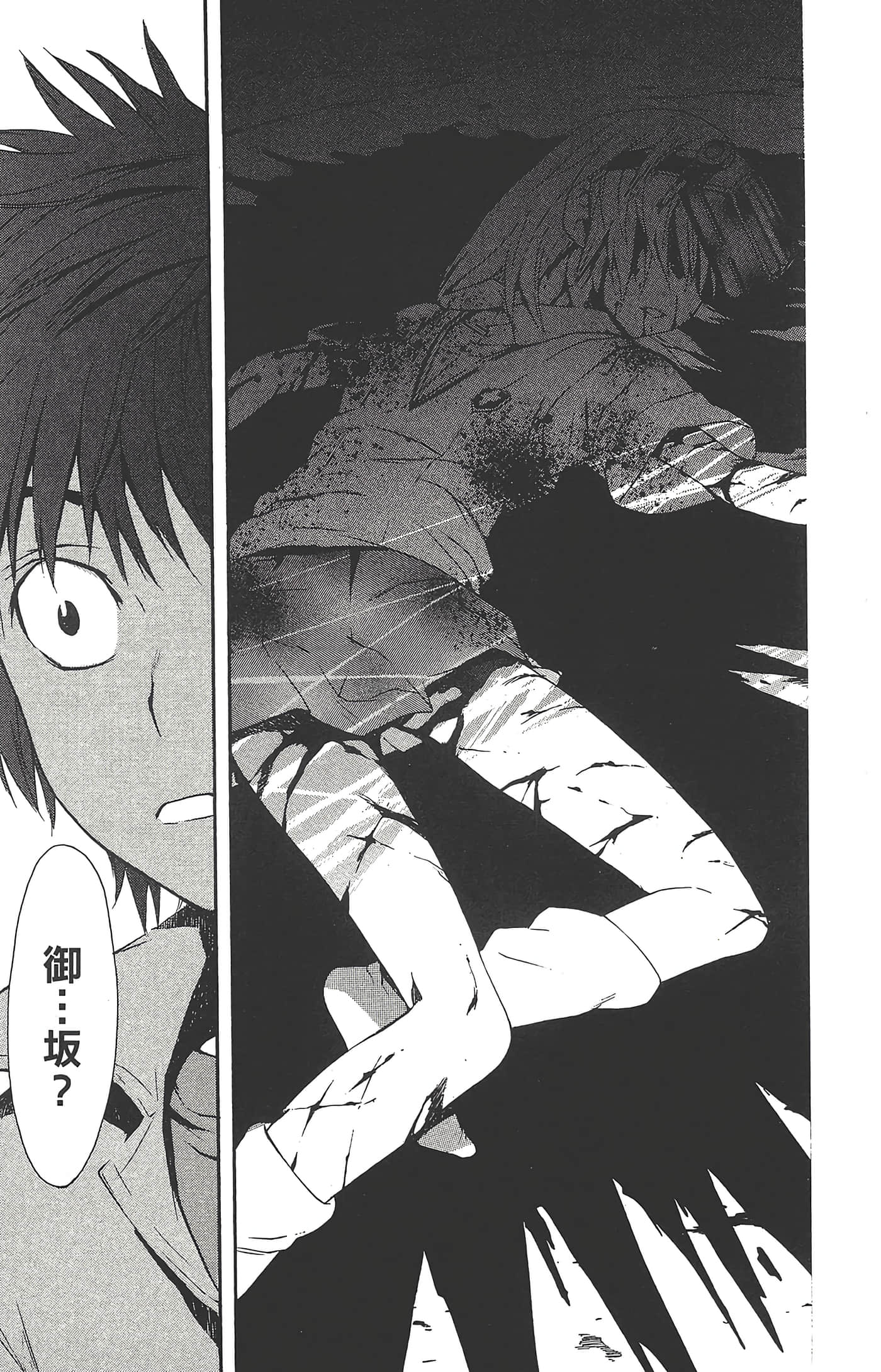 第 97 页
