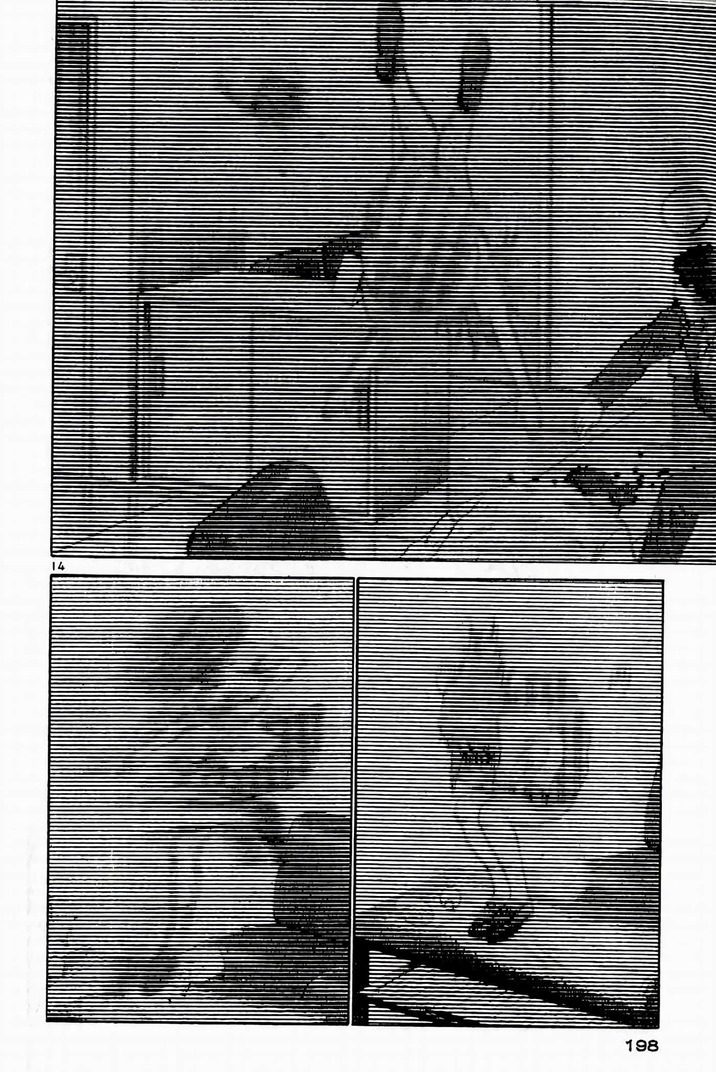 Page 196