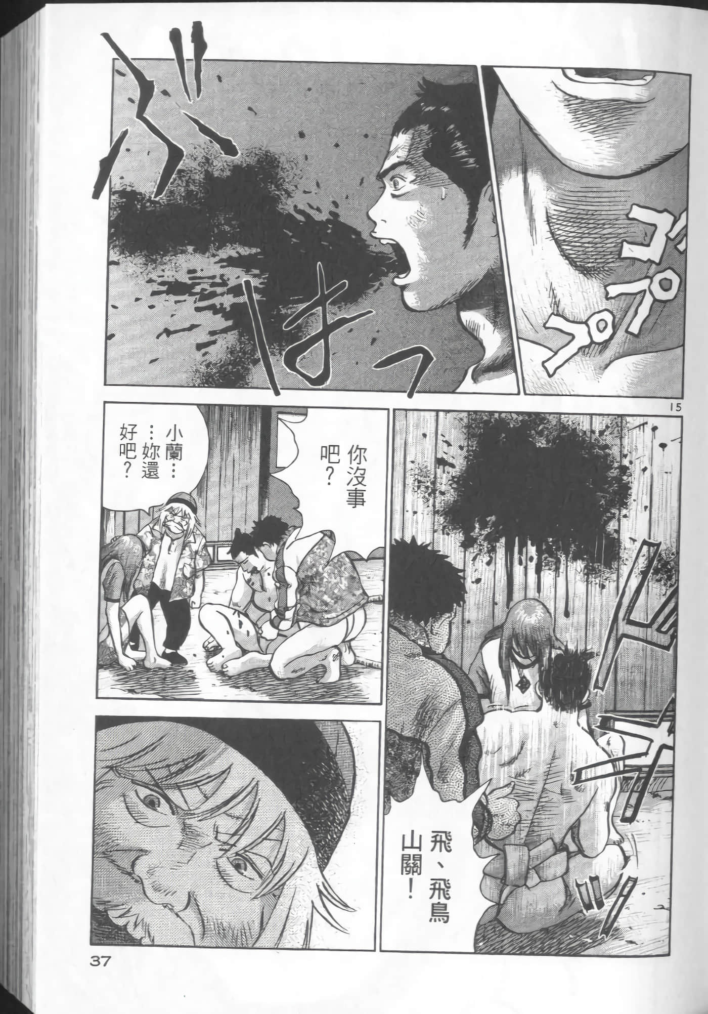 Page 37