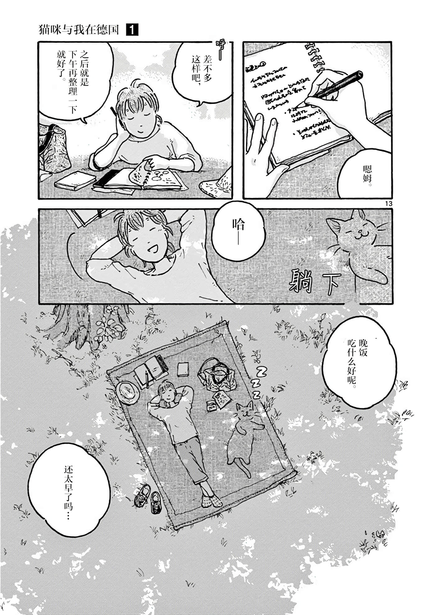 Page 13