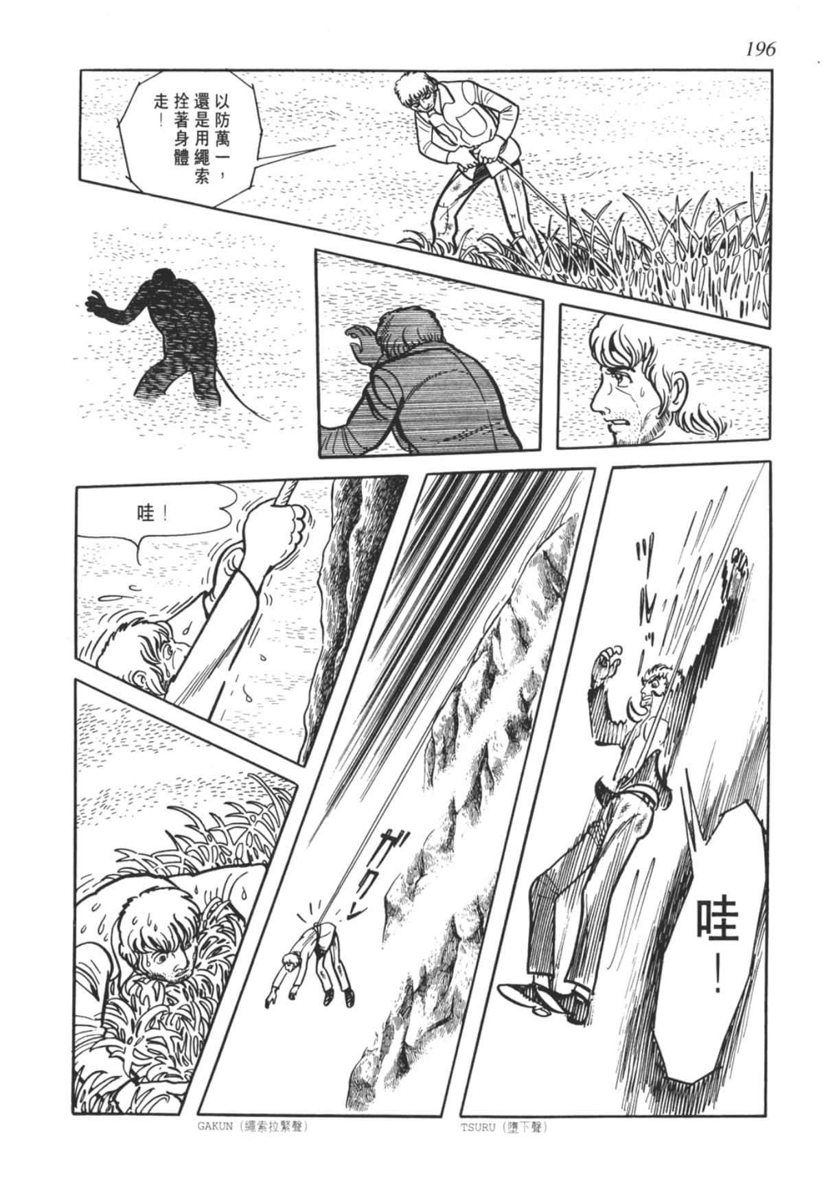 Page 196