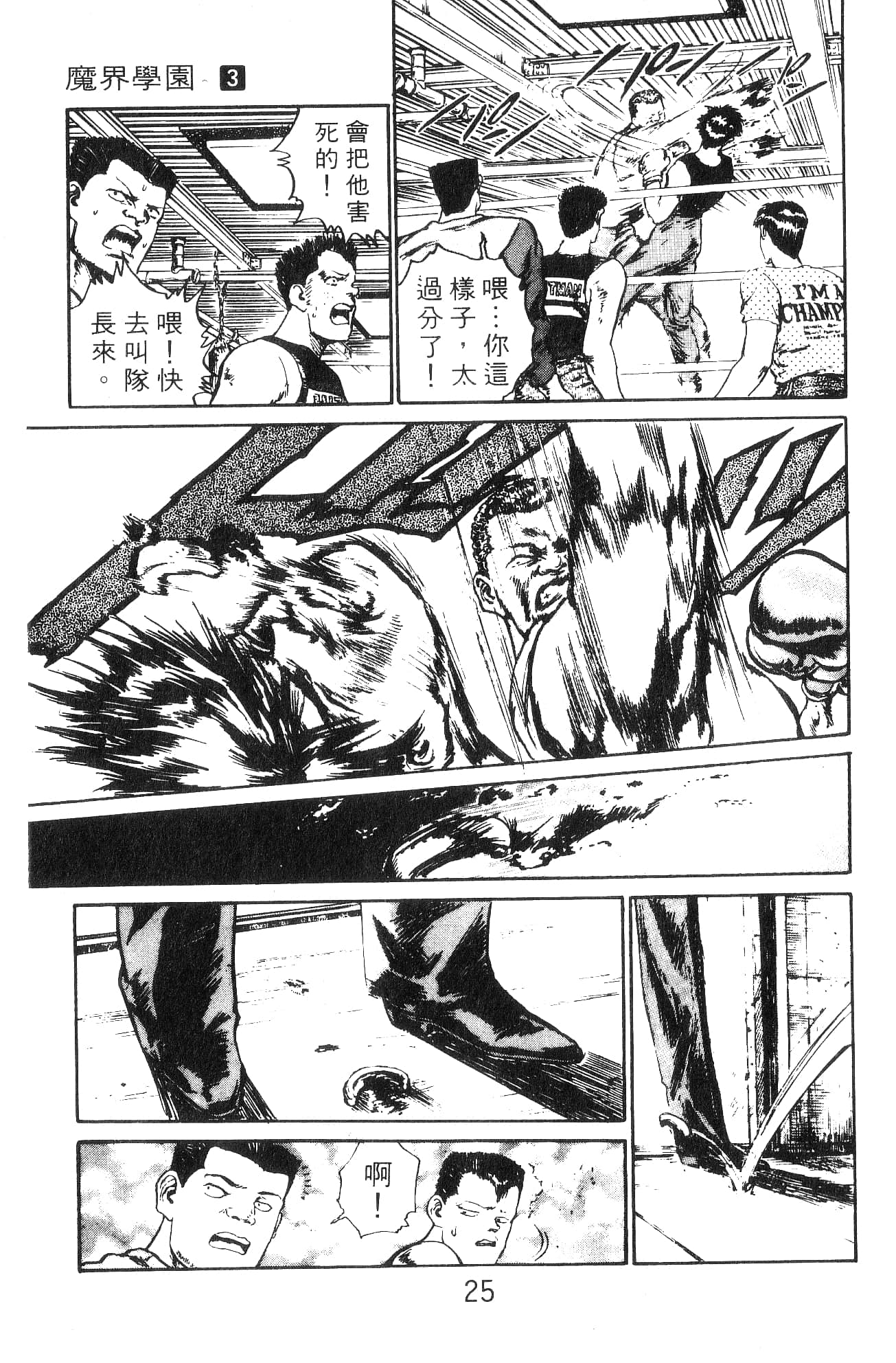 Page 25